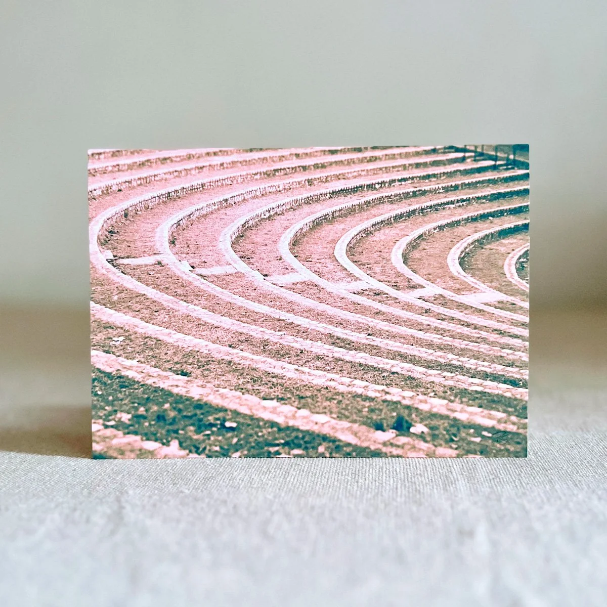 5x7" Art Print • Dogwood Dell