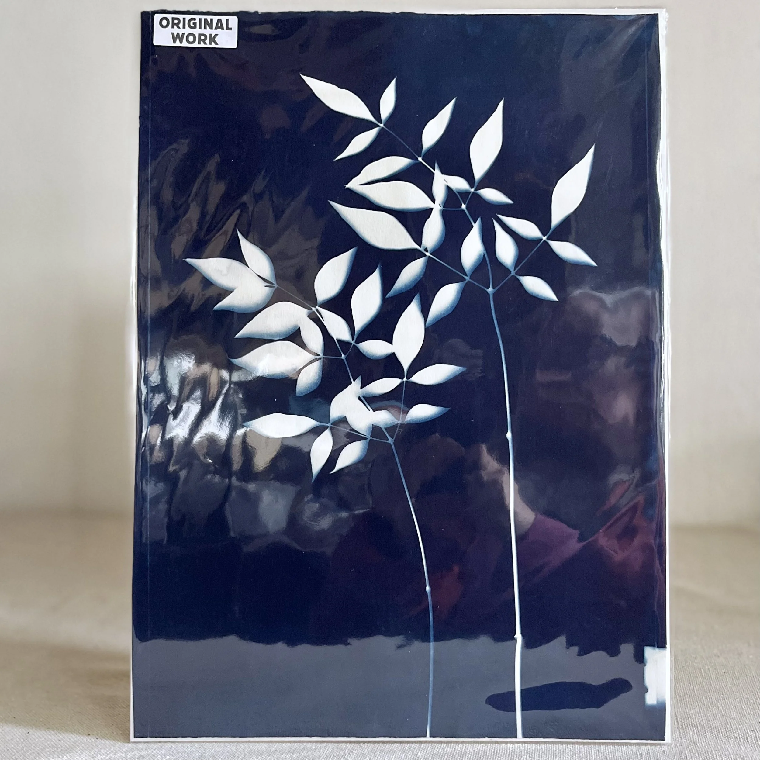 Original Cyanotype • Nandina Cyanotype