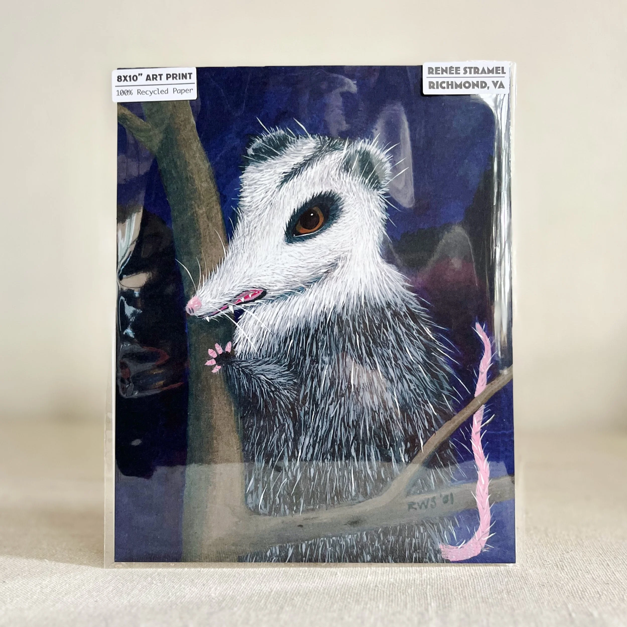 8x10-art-print-possum-packaged-web.jpeg (Copy)