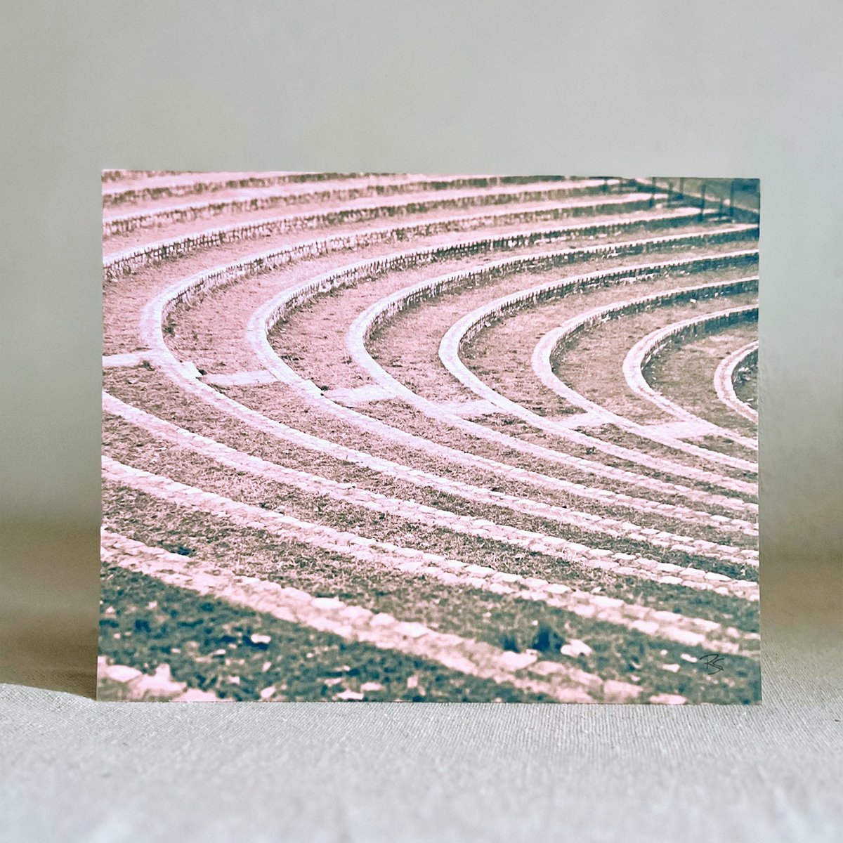 8x10" Art Print • Dogwood Dell