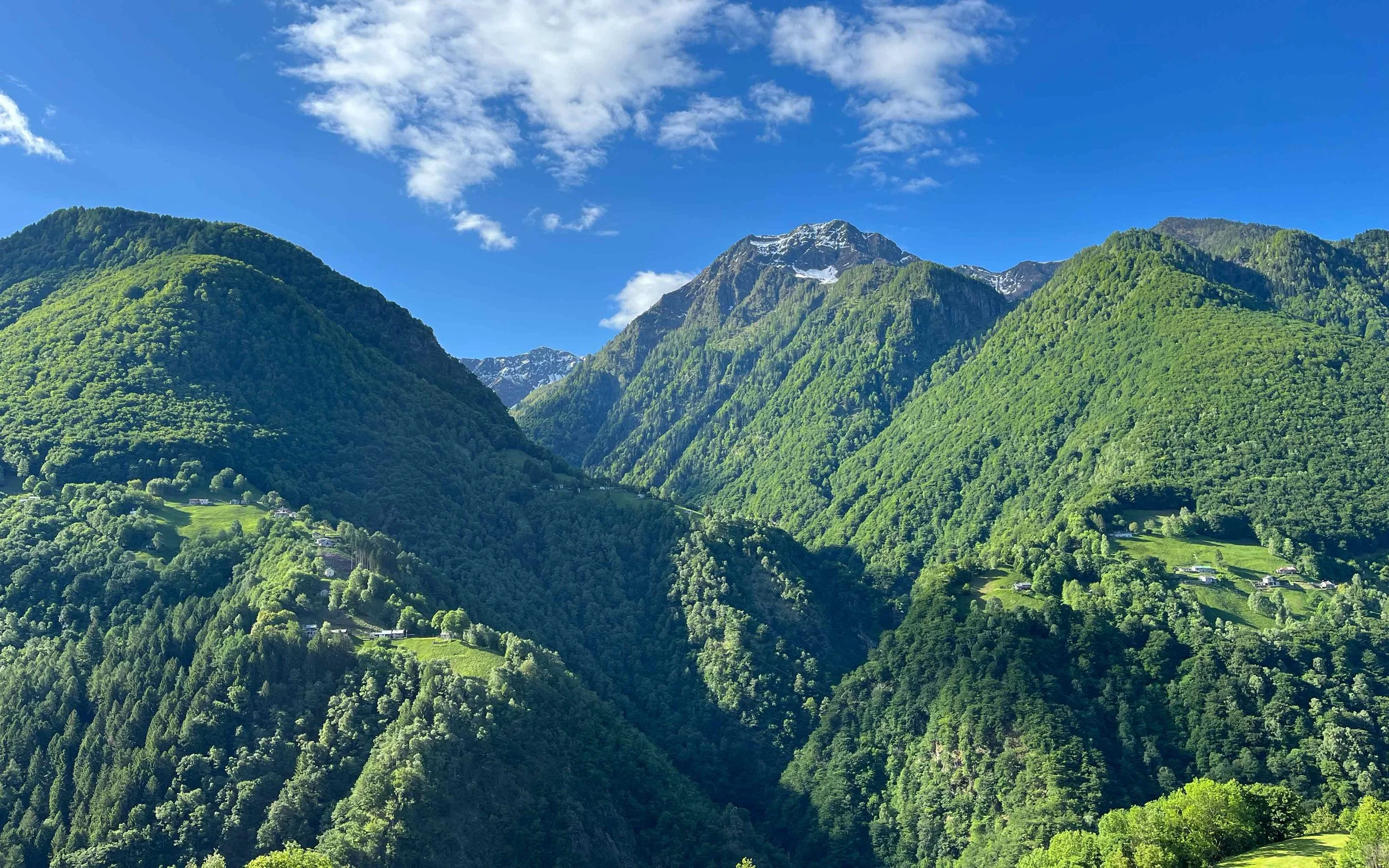Berglandschaft mit grünen bewaldeten Hügeln und hohen Gipfeln, blauer Himmel mit Wolken.