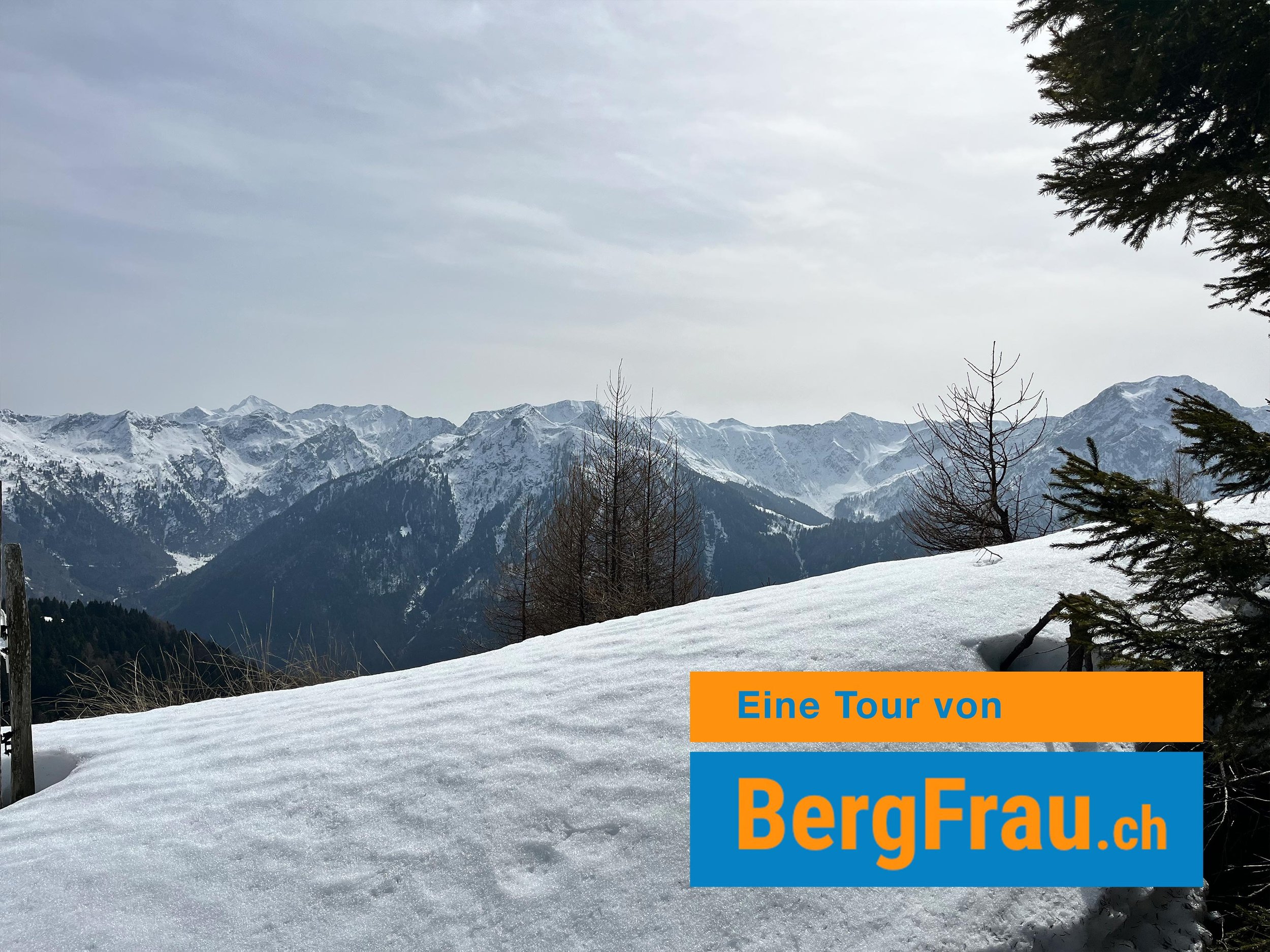 Schneebedeckte Berge mit Wolken am Himmel, im Vordergrund Tannenbäume und eine Schneelandschaft.