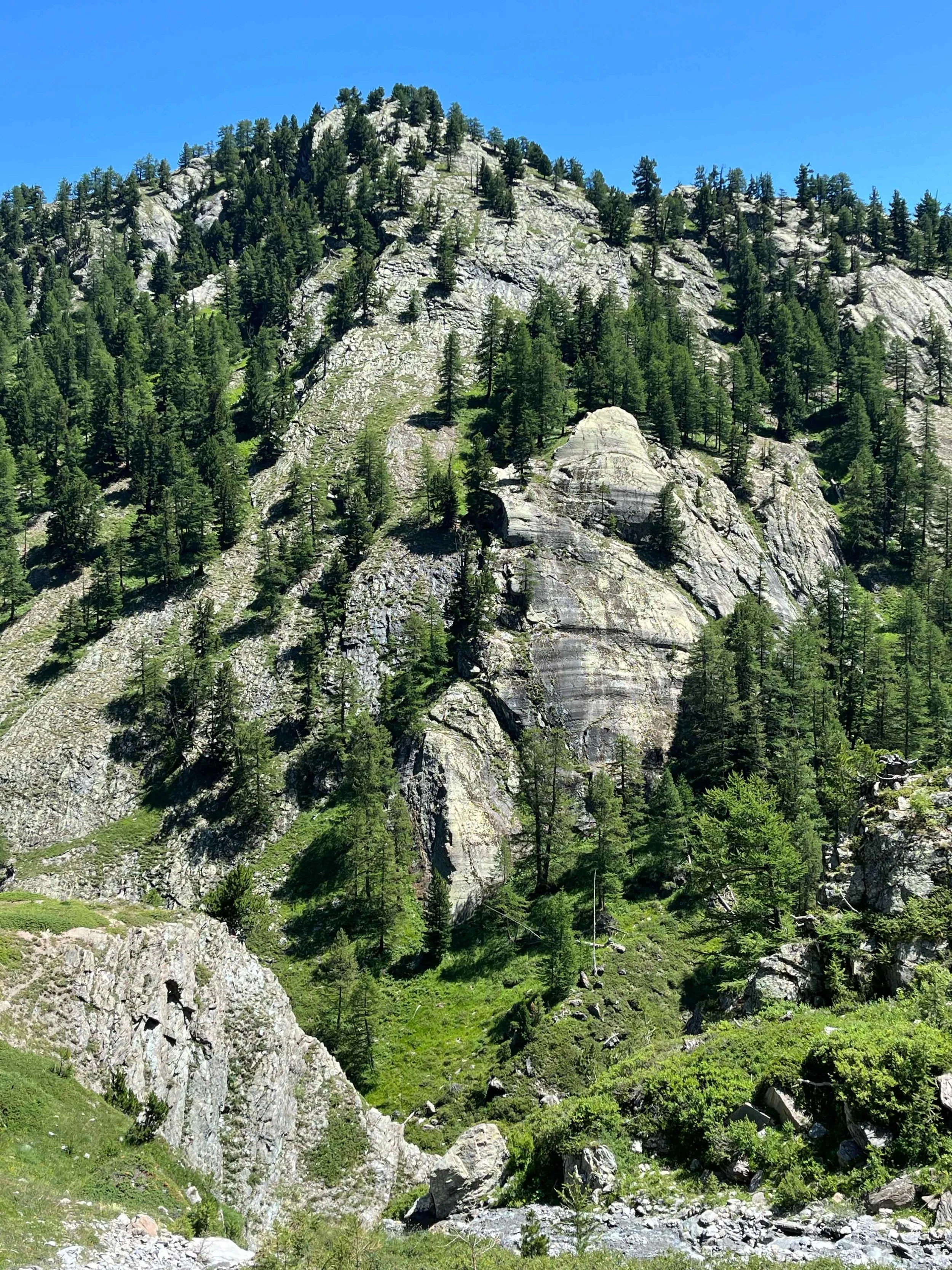 Berg mit steilen Felsen und dichtem Nadelwald unter blauem Himmel.