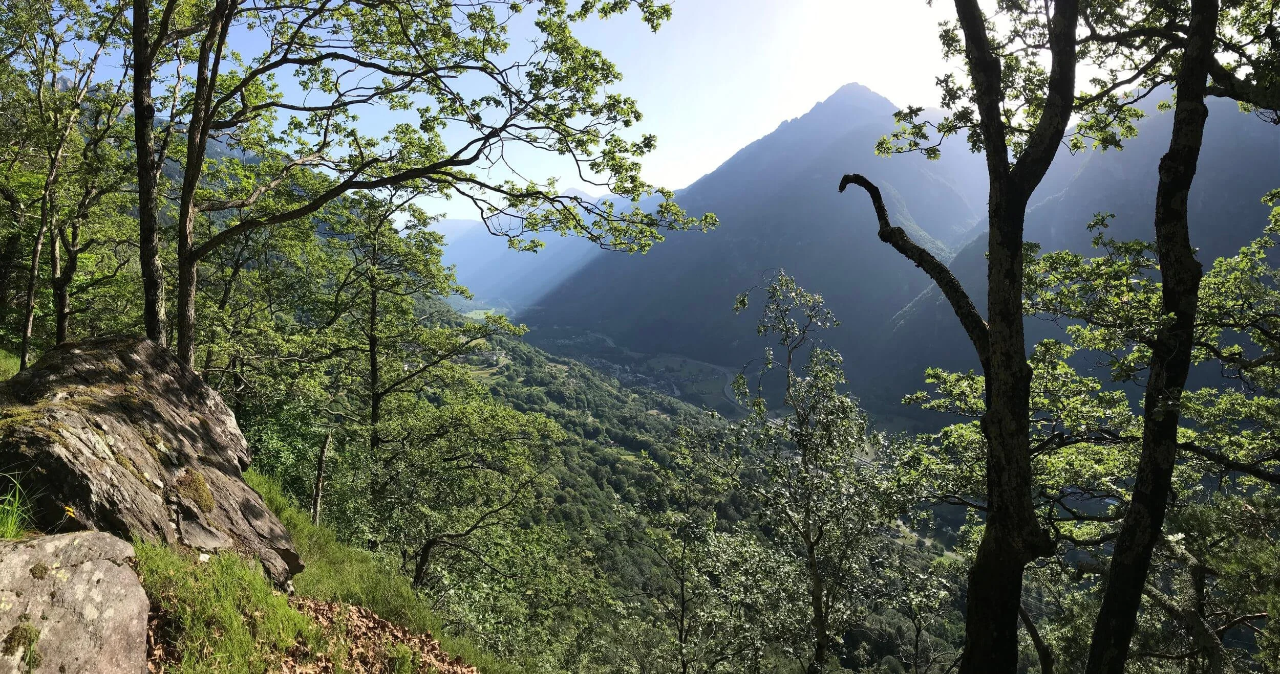 Berg- und Waldlandschaft mit Bäumen im Vordergrund, einem sonnenbeschienenen Tal und hohen Bergen im Hintergrund.