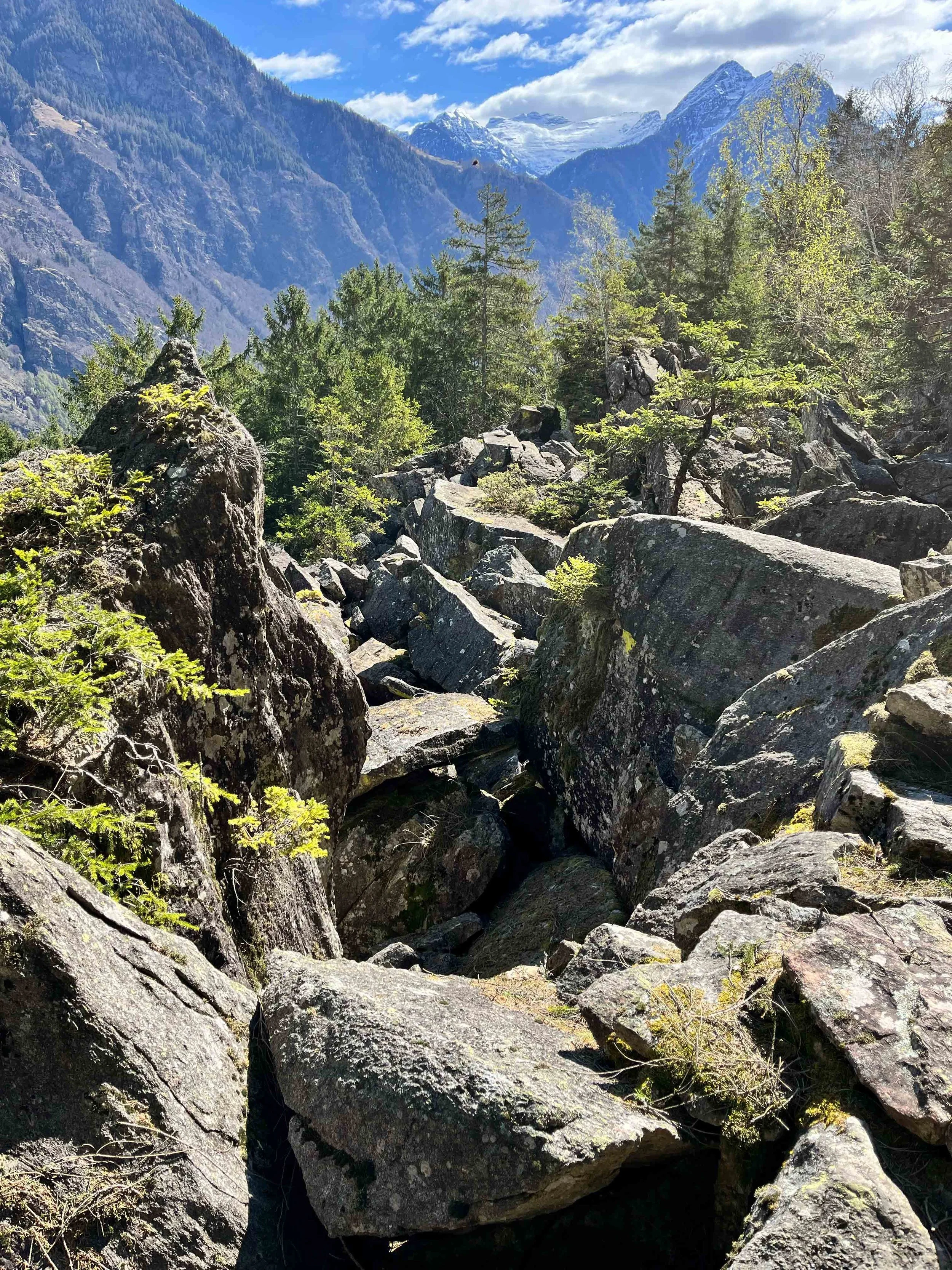Bergige Landschaft mit großen Felsen, grünen Bäumen und schneebedeckten Gipfeln im Hintergrund bei sonnigem Himmel.
