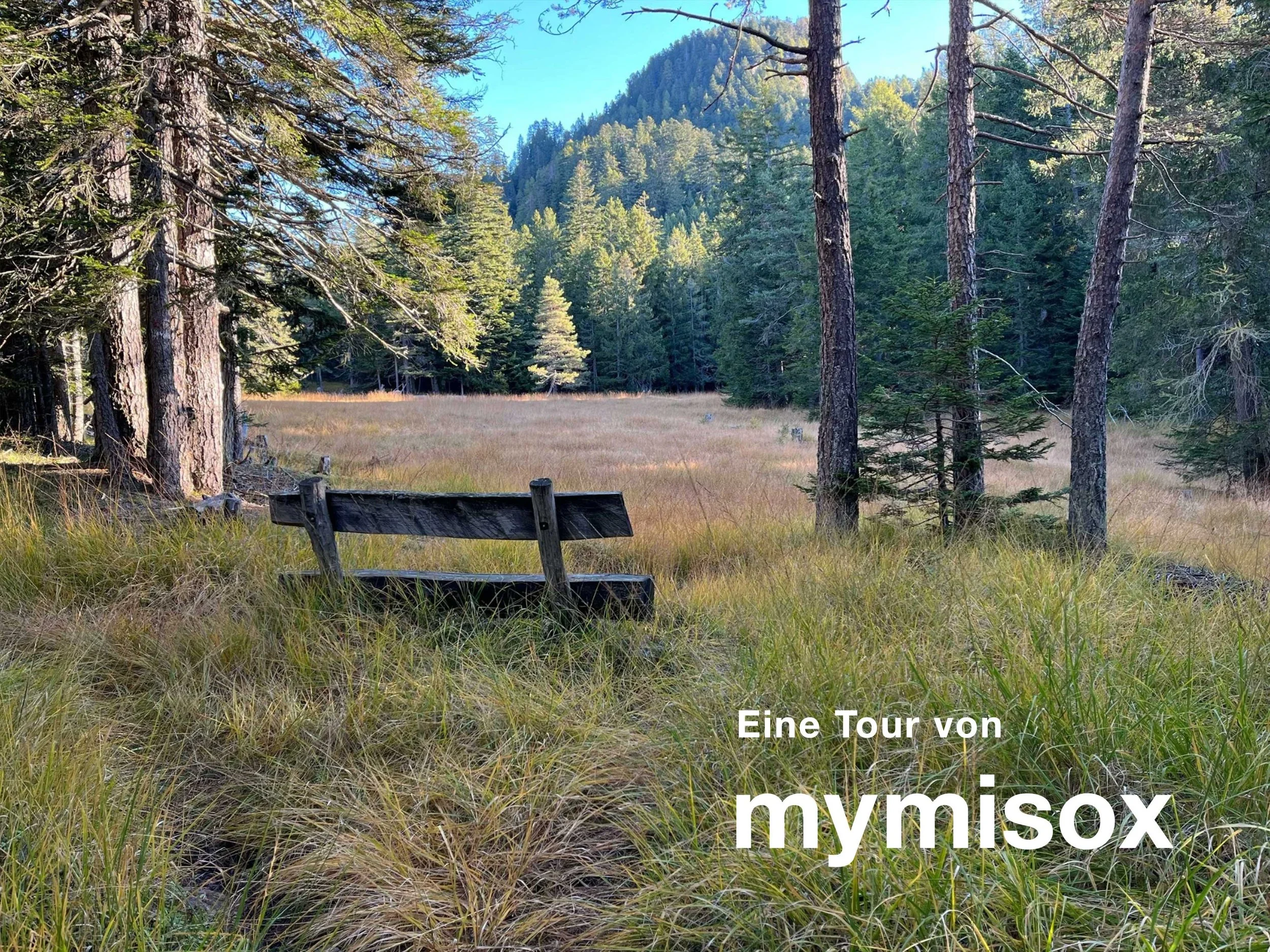 Ein Wald mit einer Wiese und einem verrosteten Holzbank im Vordergrund. Es sind viele grüne Bäume und ein blauer Himmel im Hintergrund. Text auf dem Bild: "Eine Tour von mymisoX".