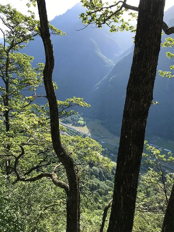 Blick auf ein Tal durch Bäume in einer Berglandschaft mit hohen Bergen im Hintergrund und einem Fluss oder Weg unten im Tal.