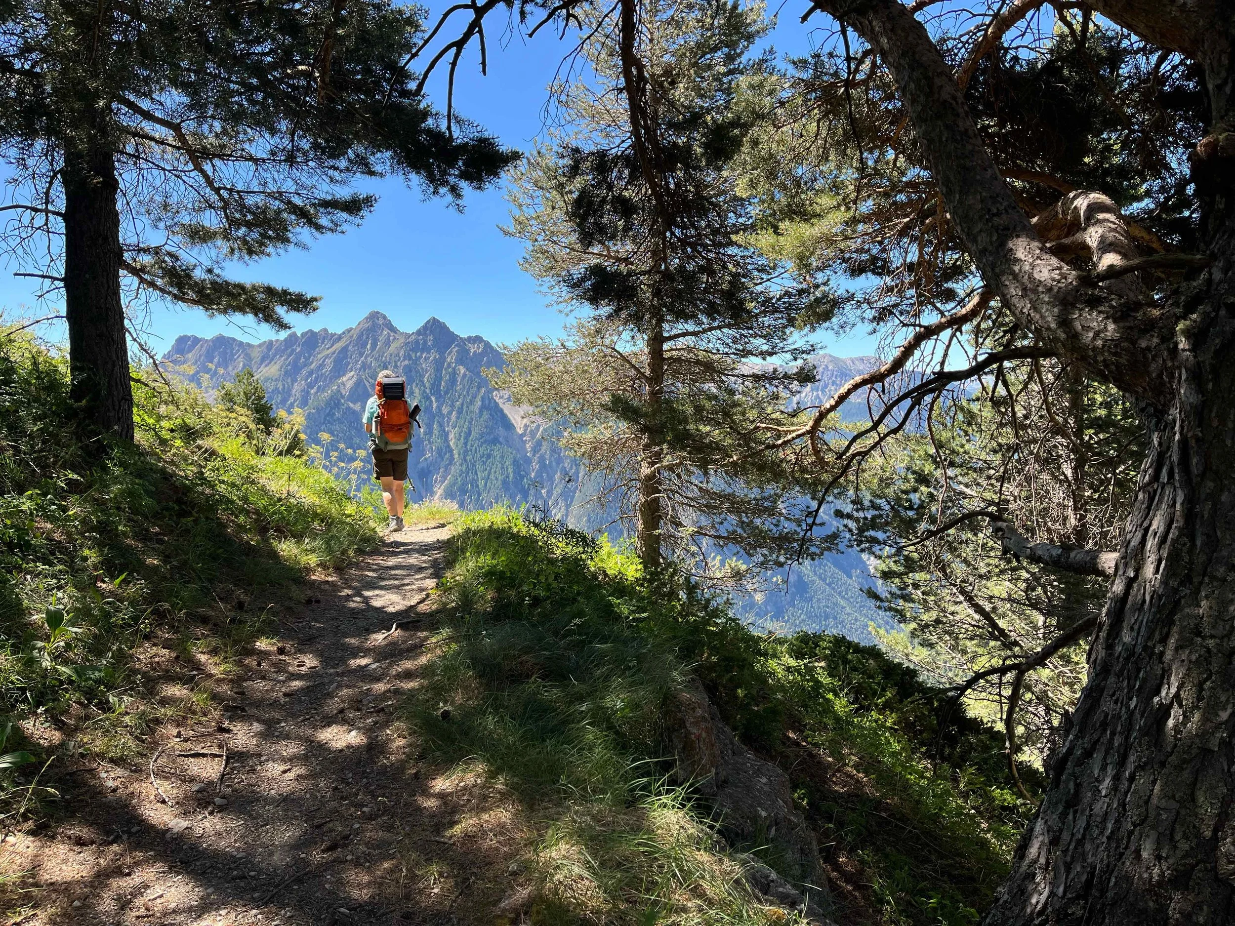 Ein Wanderer mit Rucksack läuft auf einem schmalen Pfad durch einen bewaldeten Bergwald mit Blick auf eine Gebirgskette im Hintergrund. Das Wetter ist sonnig und klar.