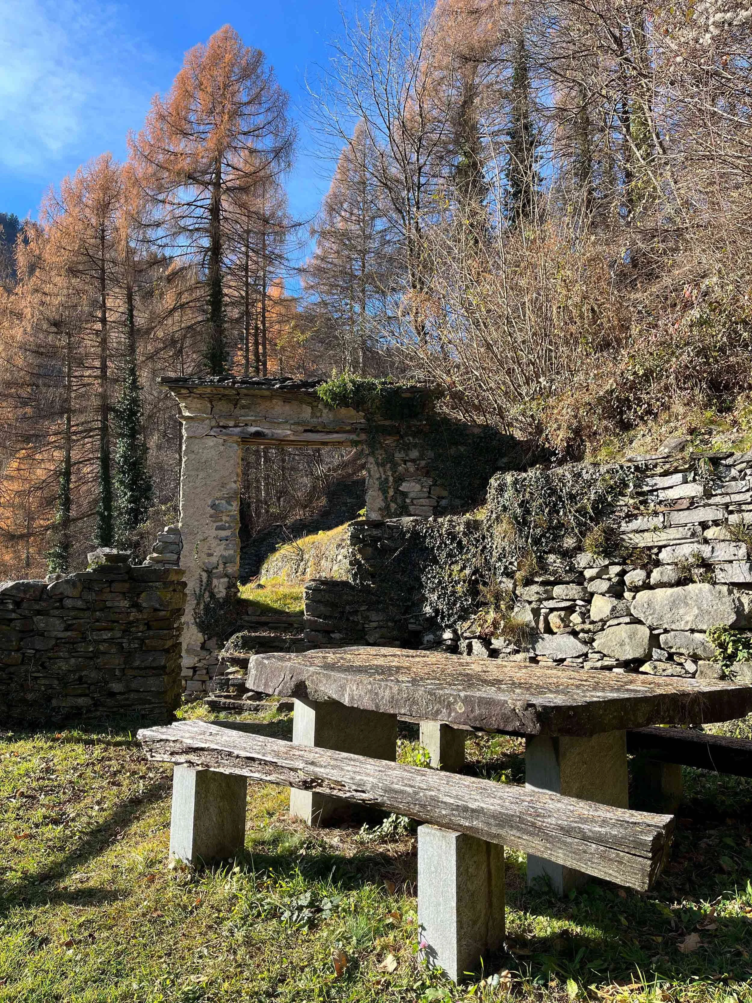 Ein gepflegter Steintisch und eine Sitzbank in einem Wald im Herbst, umgeben von kahlen Bäumen bei sonnigem Wetter.