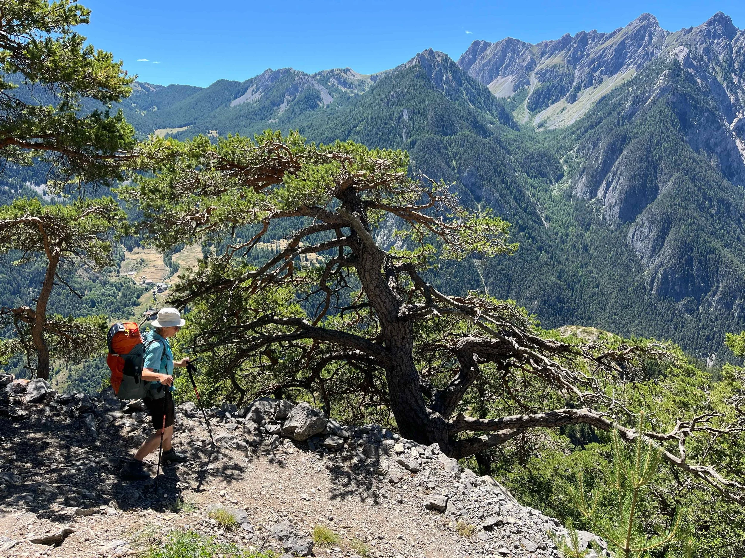 Ein Wanderer mit Rucksack und Hut auf einem felsigen Trail, umgeben von Bäumen mit Blick auf eine Berglandschaft mit hohen Gipfeln und bewaldeten Hängen.