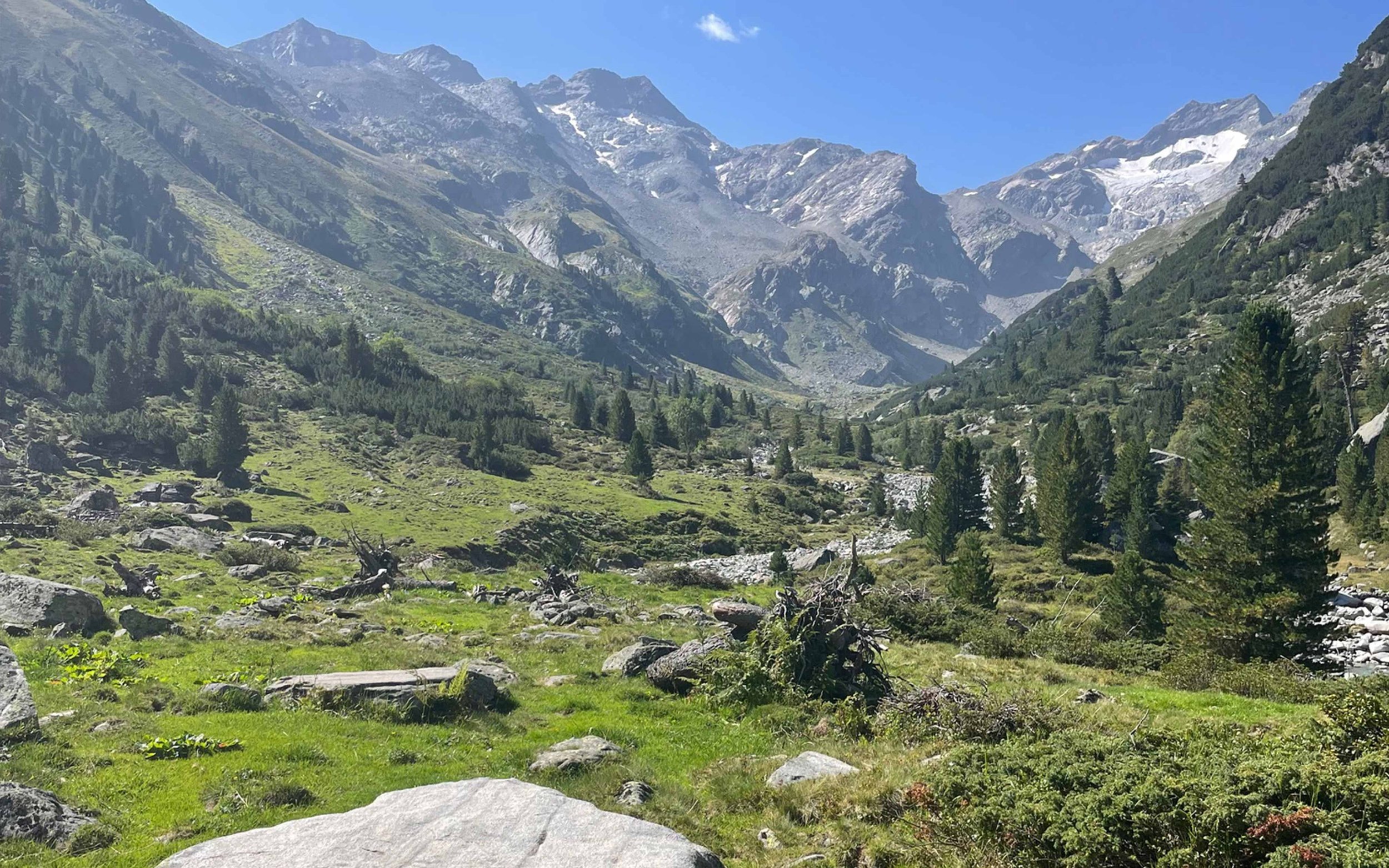 Berglandschaft mit grüner Wiese, Bäumen und hohen Bergen im Hintergrund unter klarem blauen Himmel.