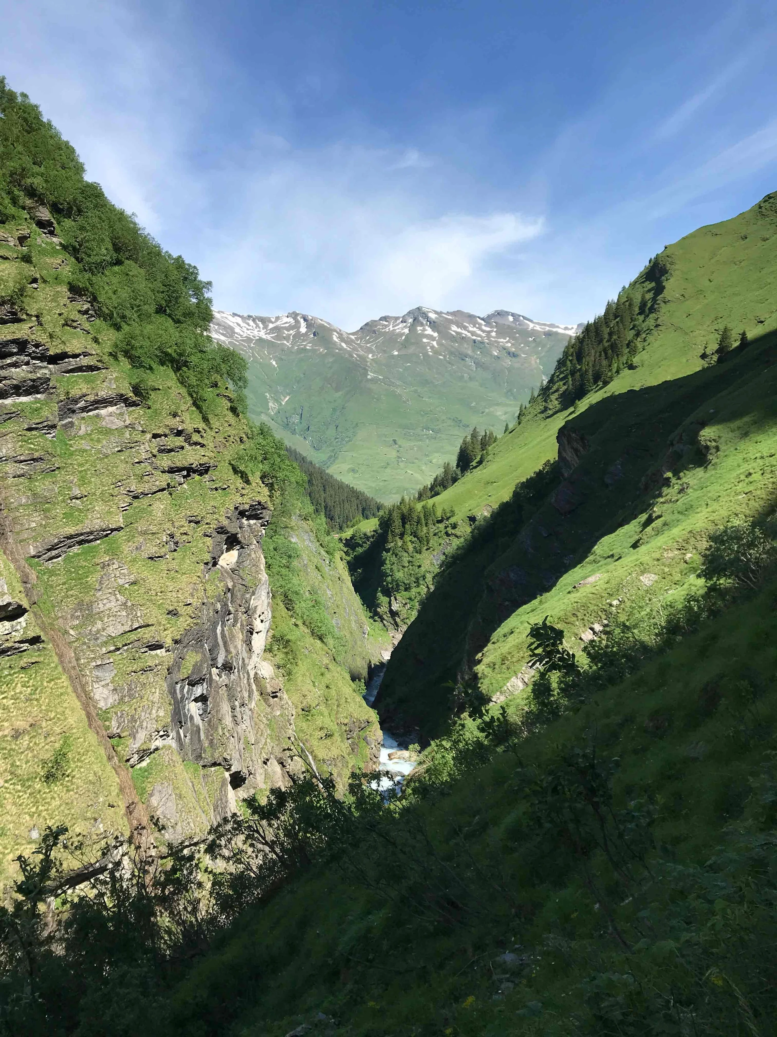Bergtal mit grünen Hängen, felsigen Abbrüchen und schneebedeckten Gipfeln im Hintergrund bei sonnigem Wetter.
