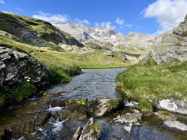 Ein Bergsee in einer alpinen Landschaft mit grünen Wiesen, Steinen und hohen Bergen im Hintergrund unter einem blauen Himmel mit Wolken.