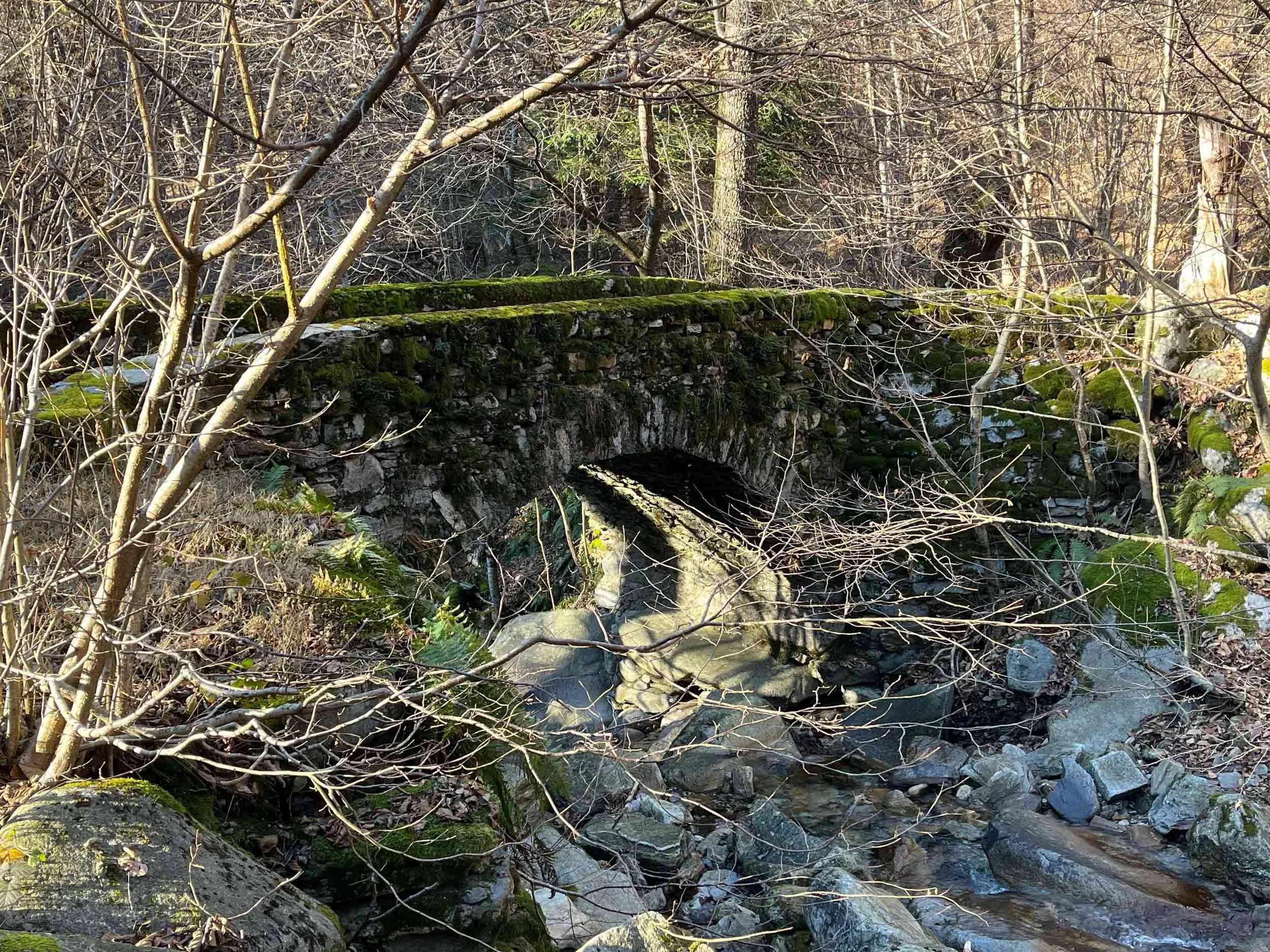 Ein Bach fließt durch einen bewaldeten Bereich mit kiesigem Flussbett, umgeben von Bäumen und Sträuchern im Frühling oder Herbst.