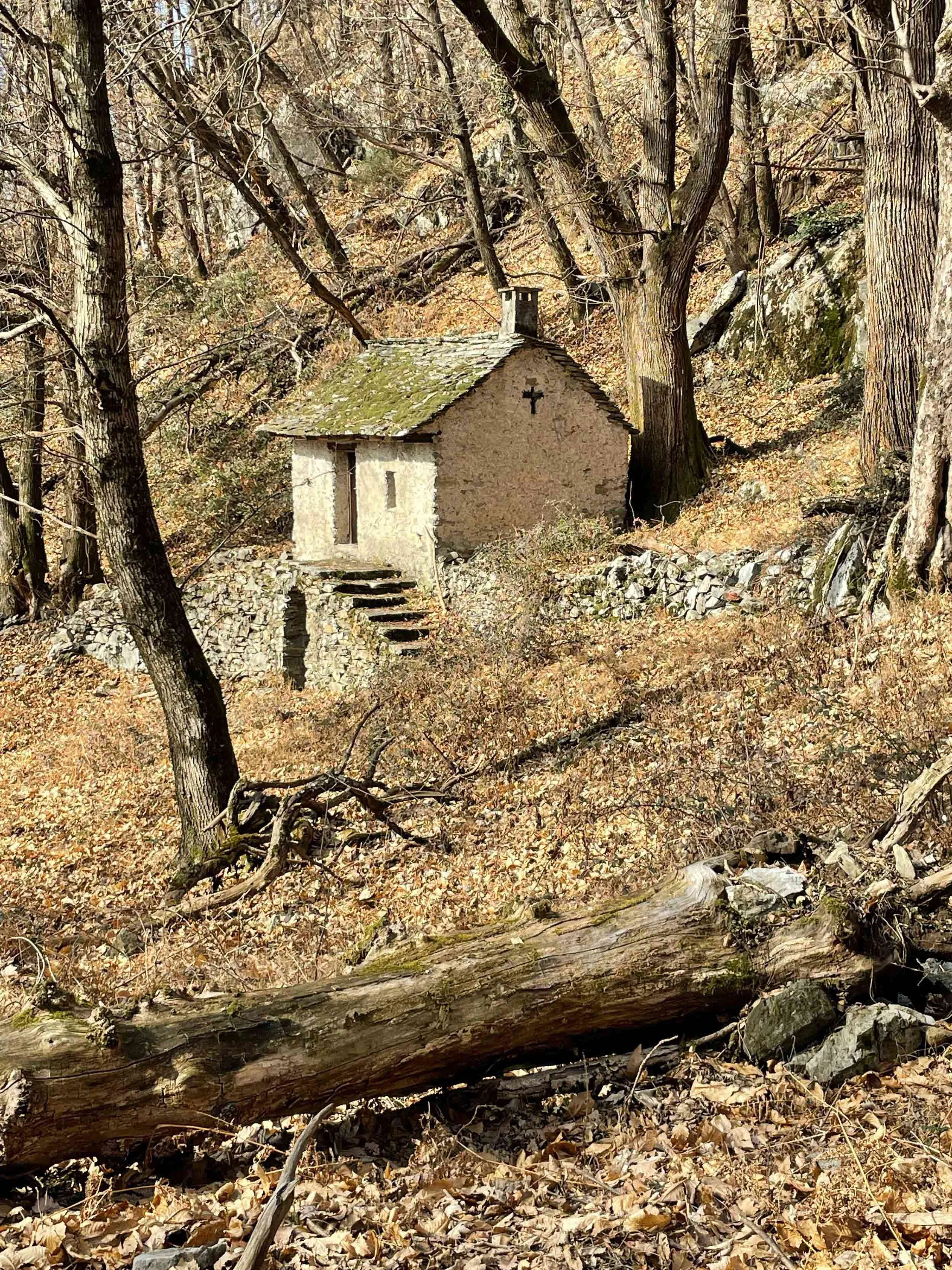Ein kleines Steinhaus mit Dach und Schornstein in einem Herbstwald, umgeben von Bäumen und Laub.