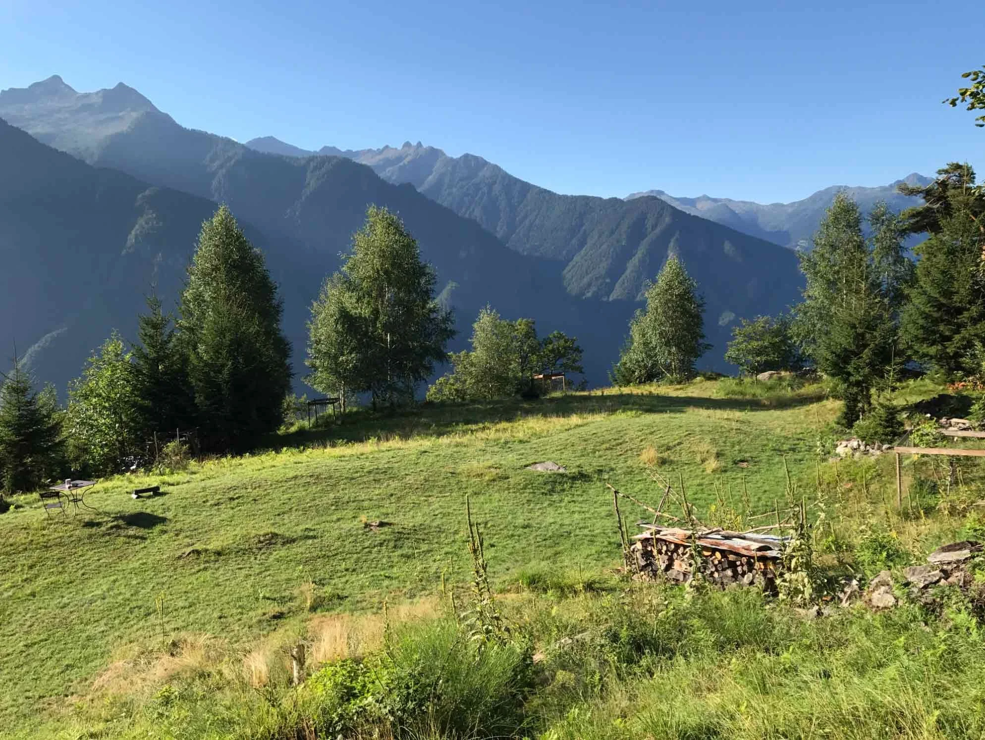 Grüne Wiese, ein paar Bäume, Hintergrund Berge, blauer Himmel.
