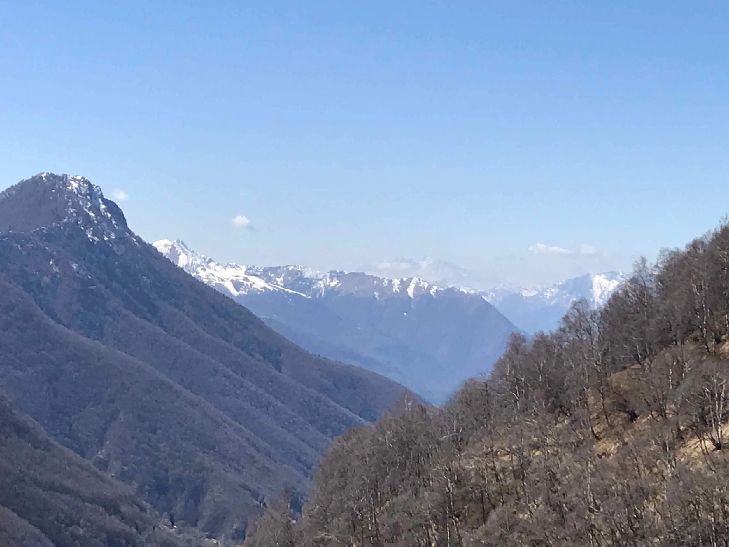 Berglandschaft mit schneebedeckten Gipfeln im Hintergrund und bewaldeten Hängen im Vordergrund.