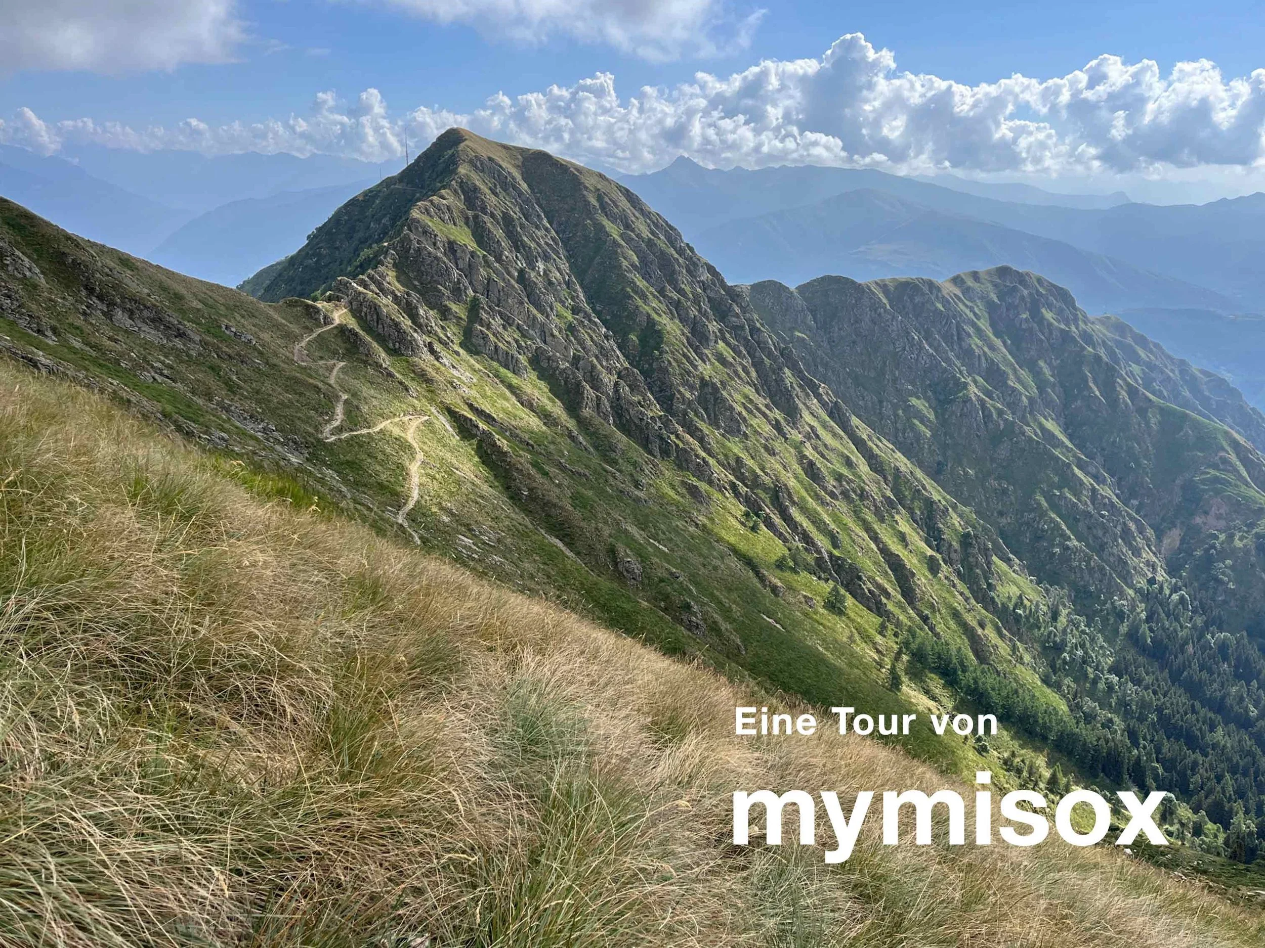 Berglandschaft mit schmalen Wanderwegen auf grüner, steiler Hang, im Hintergrund Bergketten und bewölkter Himmel.