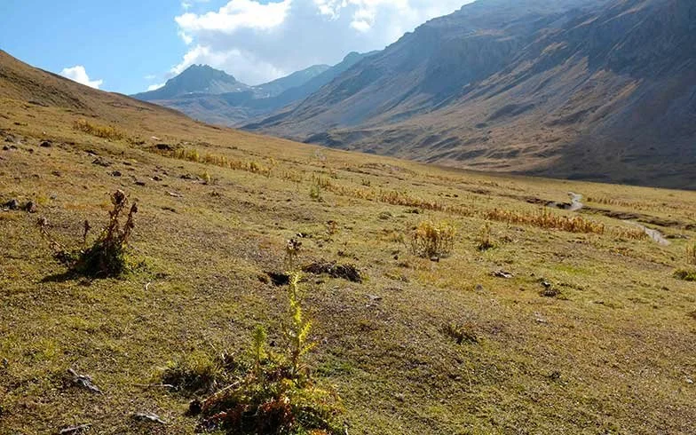 Berglandschaft mit weiten, grasbewachsenen Hügeln und Bergen im Hintergrund, einige Wolken am Himmel.