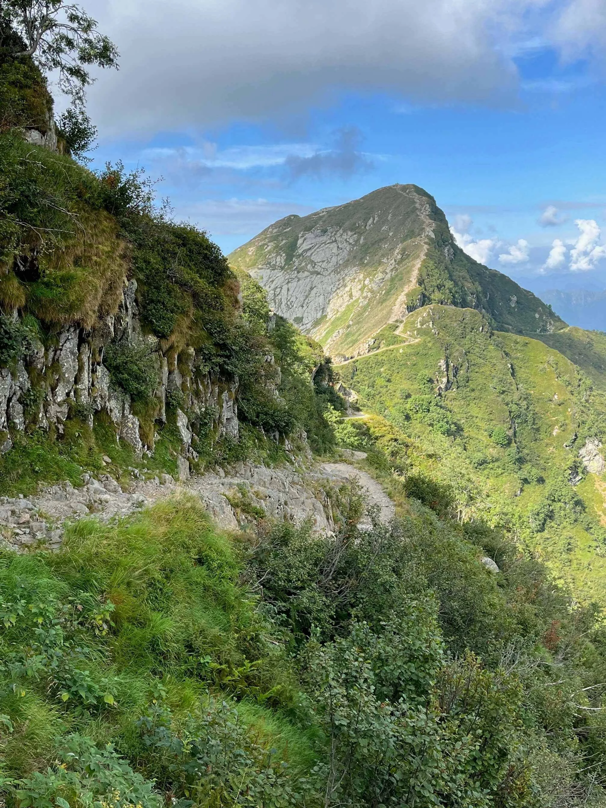 Eine bergige Landschaft mit einem Pfad, dichtem grünem Buschwerk und einer großen, bewaldeten Berghöhe im Hintergrund unter einem Himmel mit Wolken.