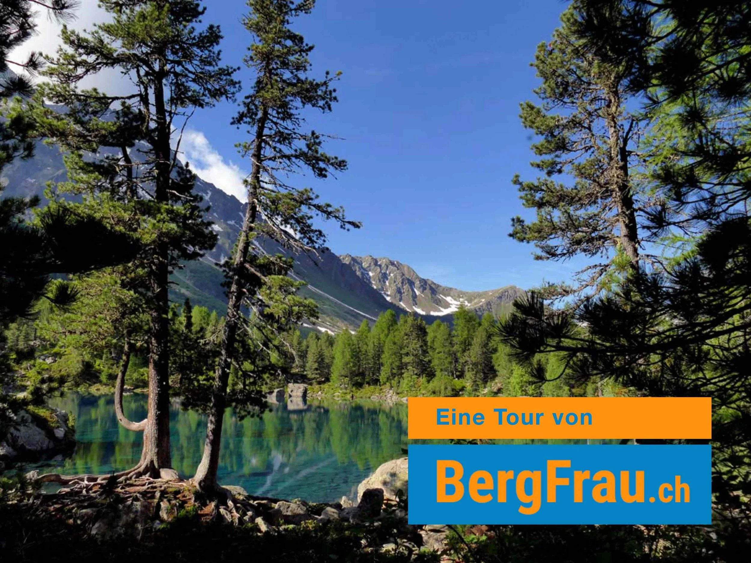 Ein Foto eines Bergsees mit umgebenden Tannenbäumen und schneebedeckten Bergen im Hintergrund bei sonnigem Wetter.