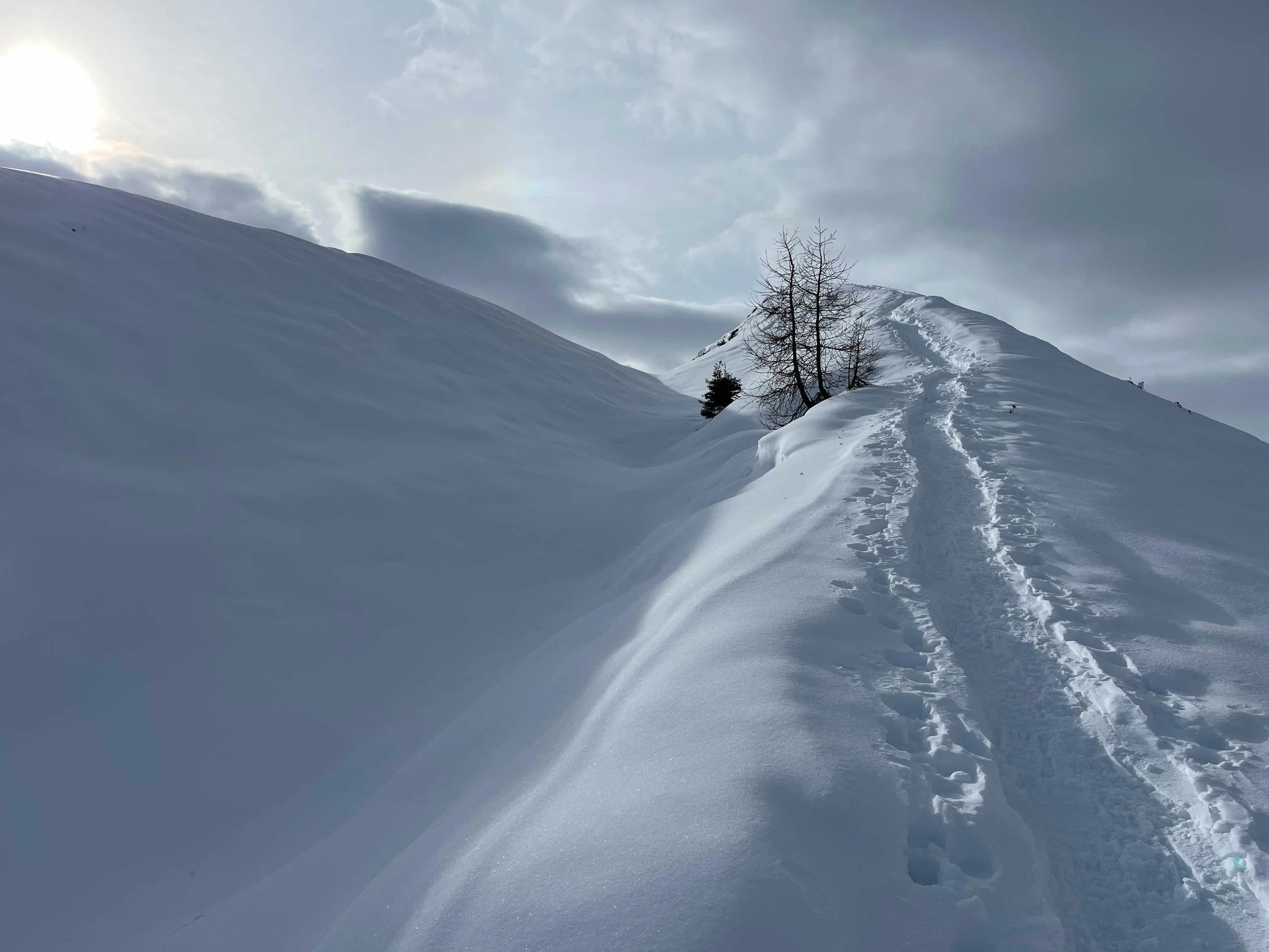 Schneebedeckte Berge mit Fußspuren im Schnee und einem einzelnen Baum, bei bedecktem Himmel, im Sonnenlicht.
