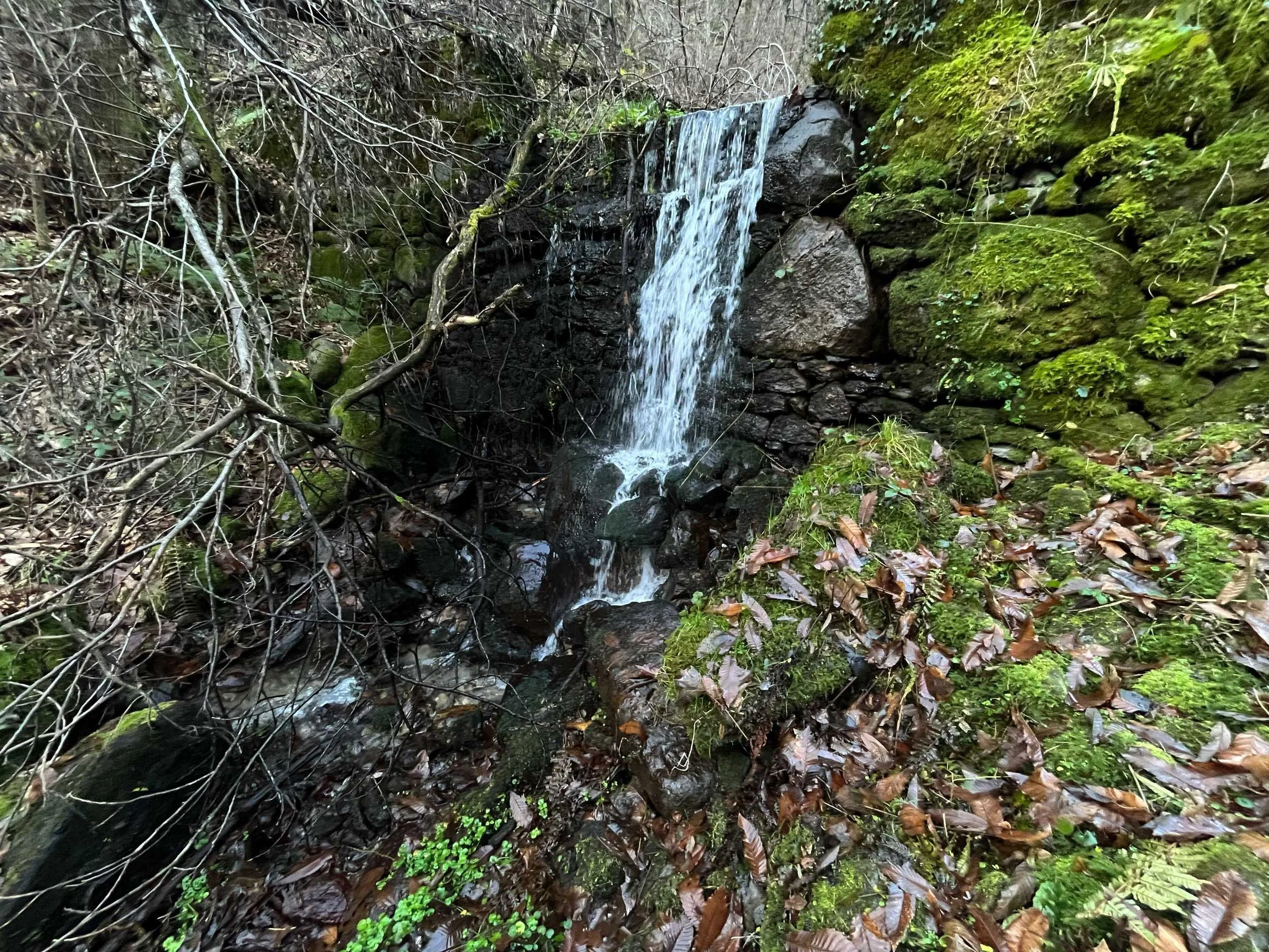 Ein kleiner Wasserfall im Wald, umgeben von moosbedeckten Steinen, Bäumen und Laub auf dem Boden.