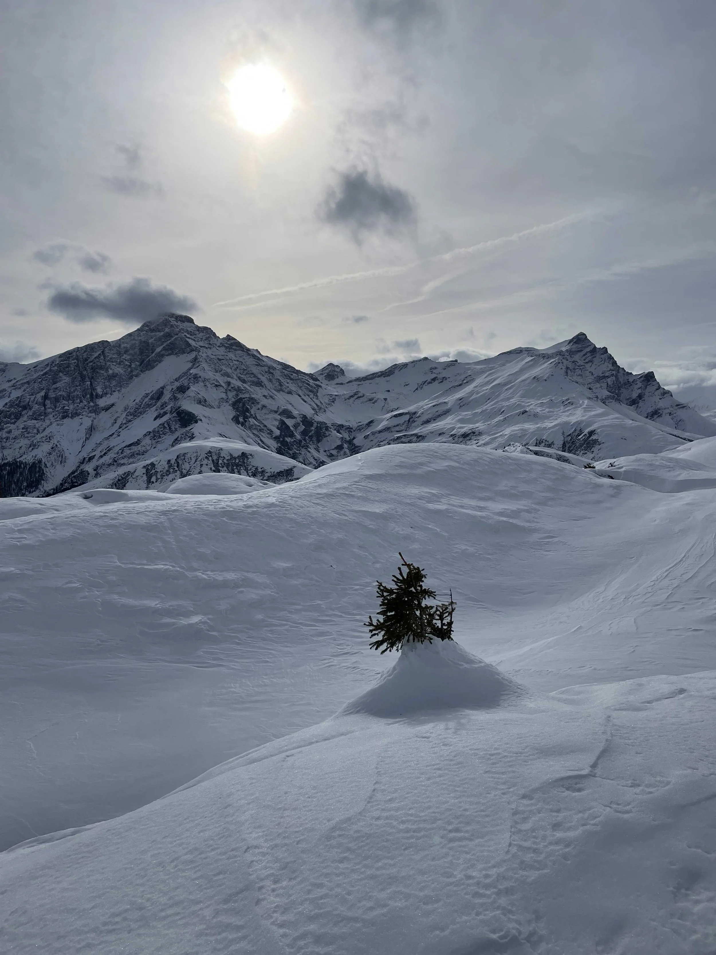 Schneebedeckte Berge unter einem sonnigen Himmel mit Wolken und Kondensstreifen, eine kleine Tannenbaum Financials in der Schneedecke im Vordergrund.