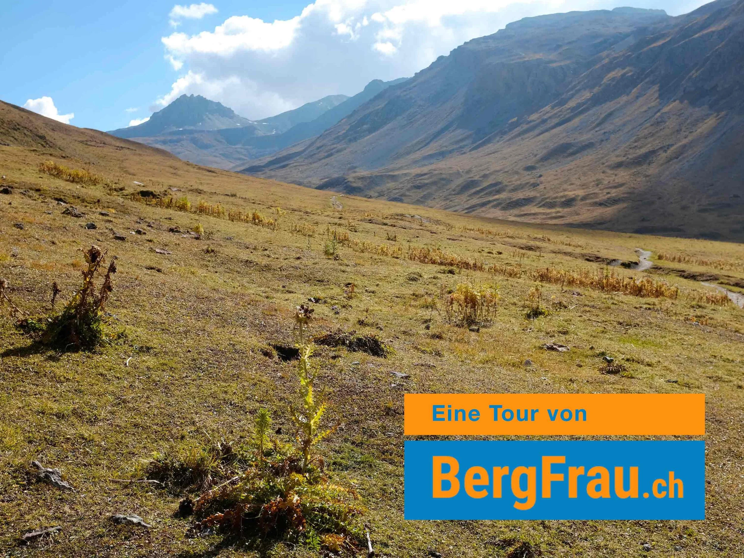 Berglandschaf mit Bergen im Hintergrund, einige Pflanzen im Vordergrund, blauer Himmel mit Wolken. Text: 'Eine Tour von BergFrau.ch' im unteren rechten Bereich.