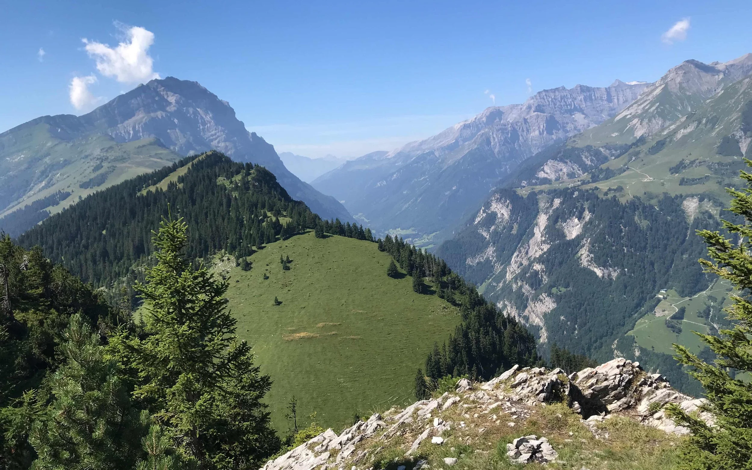 Berglandschaft mit grünen Hügeln, dichten Wäldern und hohen Bergen im Hintergrund bei schönem Wetter und blauem Himmel.