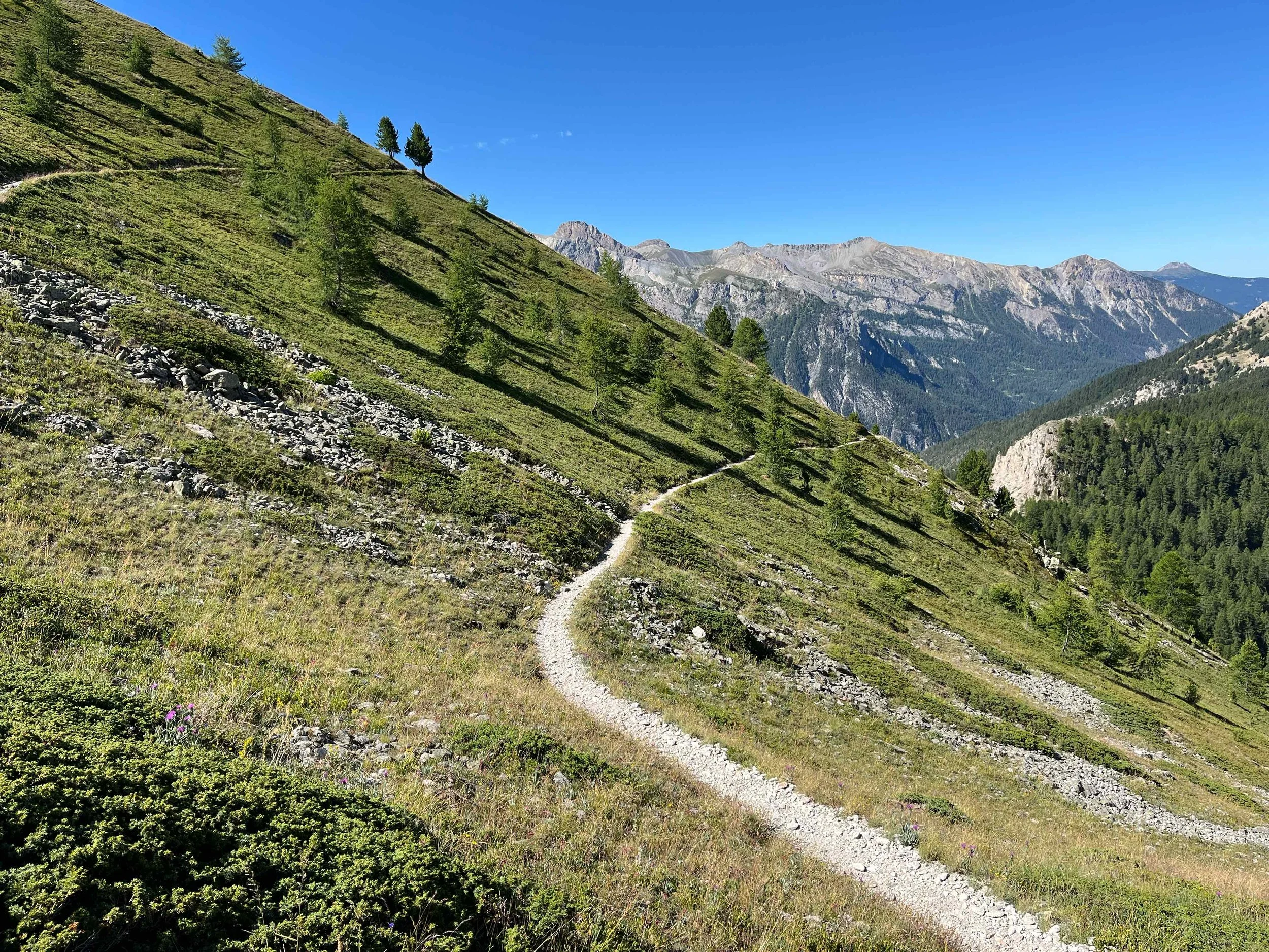Ein schmaler Wanderweg führt durch eine grüne, bergige Landschaft mit einzelnen Bäumen. Im Hintergrund sind hohe, felsige Berge unter klarem blauen Himmel sichtbar.