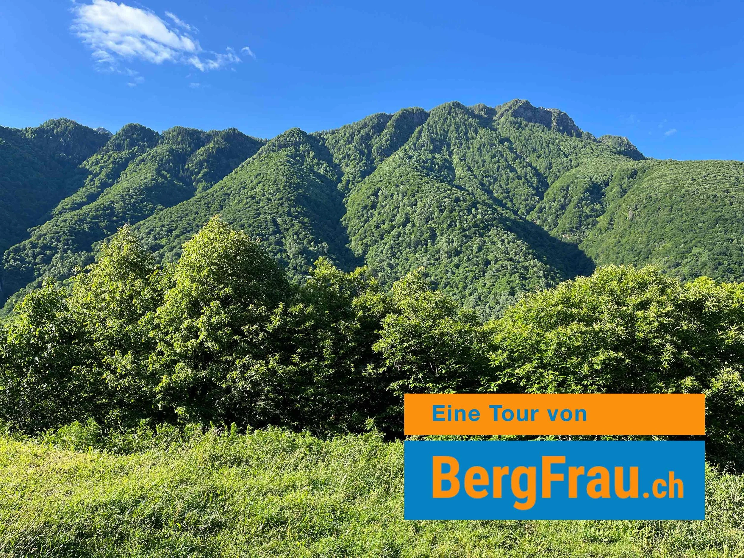 Berglandschaft mit grünen Bergen und Bäumen bei sonnigem Himmel, Text im unteren rechten Eck: 'Eine Tour von BergFrau.ch'
