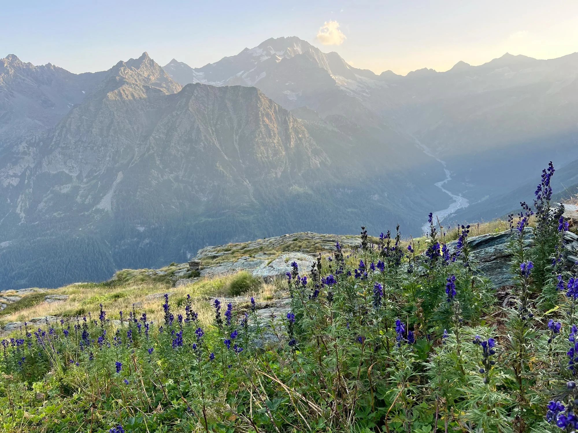 Blick ins Tal mit dem Berg Disgrazia im Hintergrund