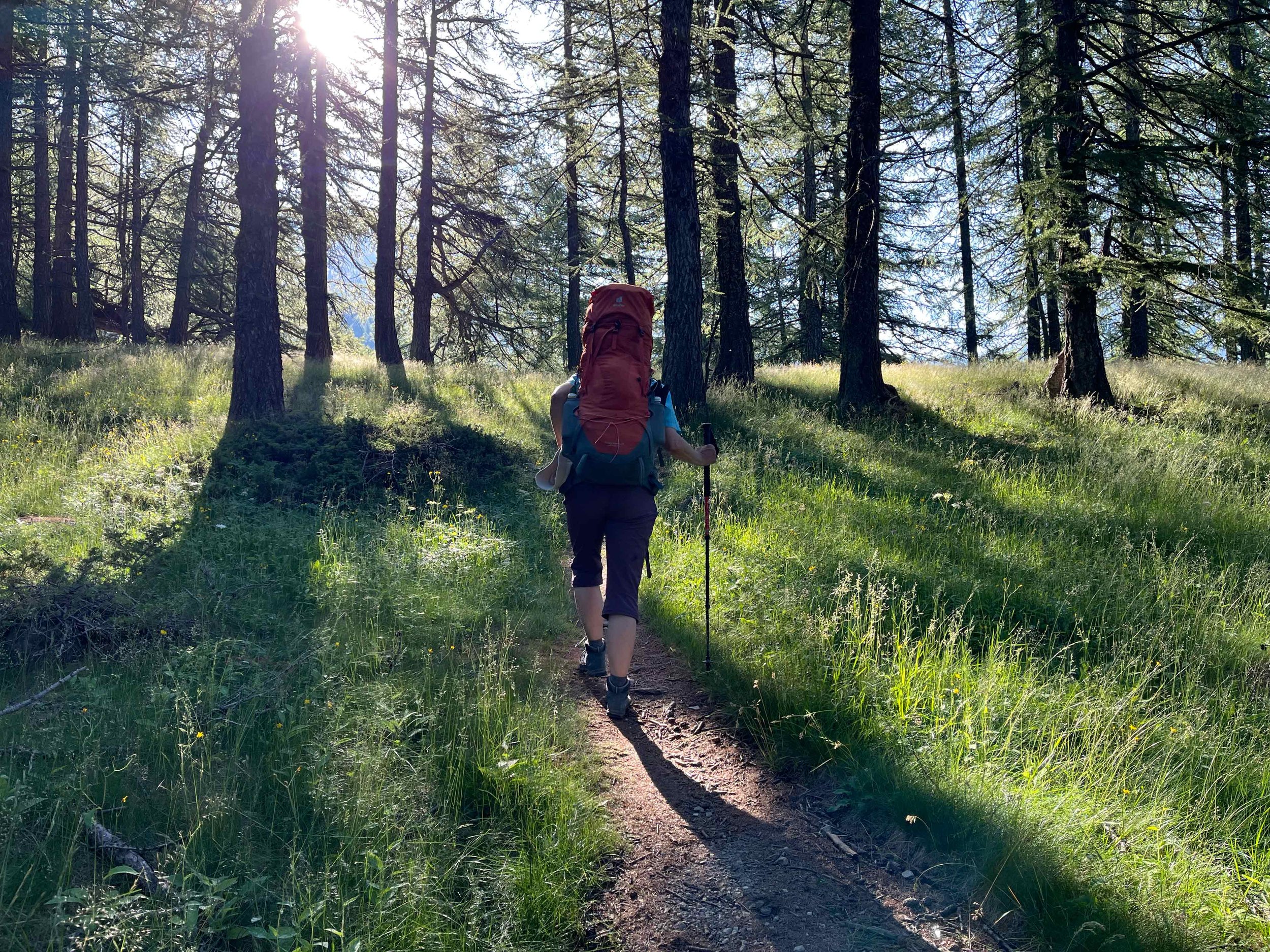 Wanderin wandert in einem bewaldeten Gebiet mit Sonnenlicht, trägt einen großen Rucksack und nutzt einen Wanderstock.
