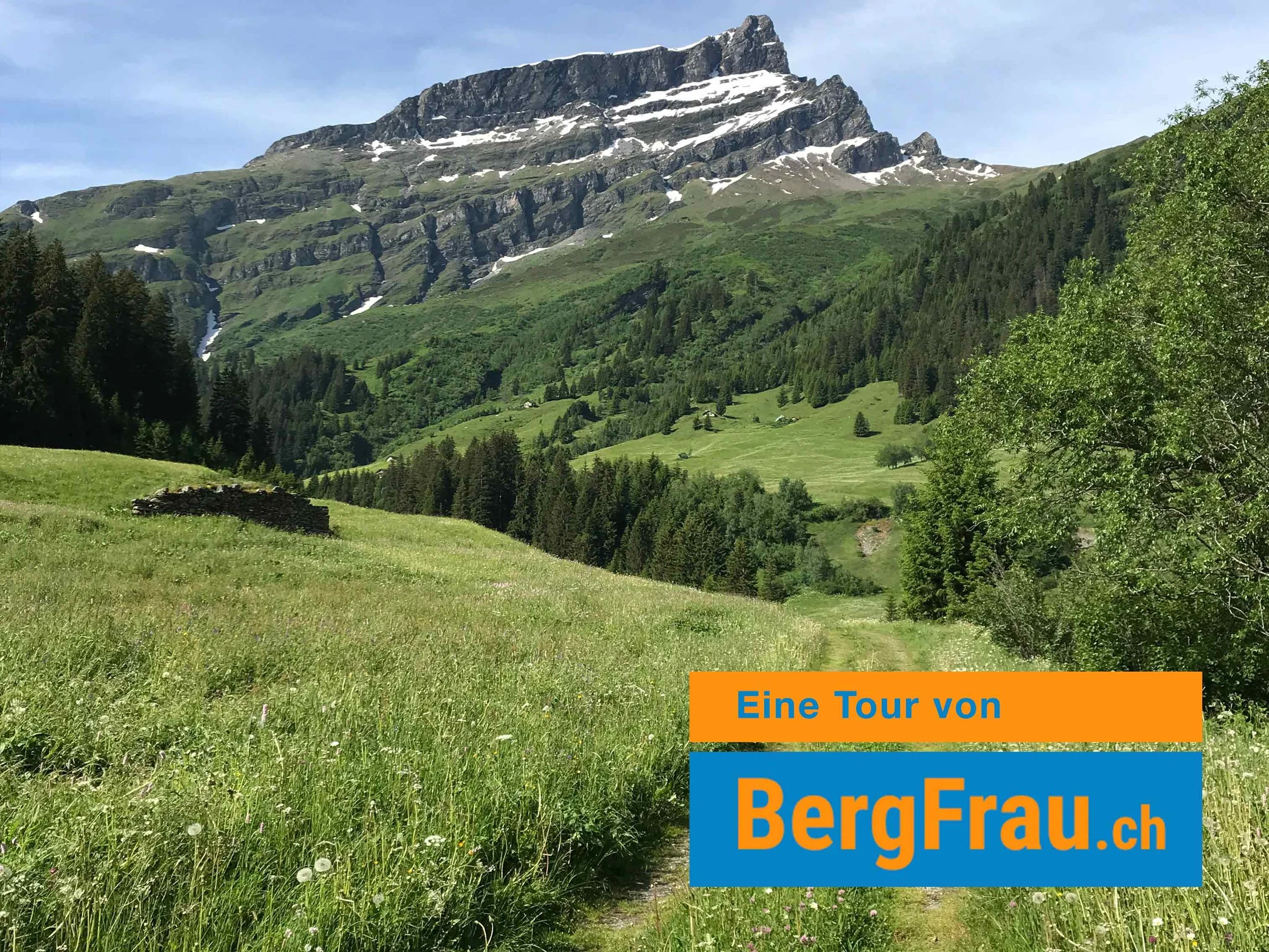 Berglandschaft mit grünen Wiesen, dunklen Tannen und hohen Bergen im Hintergrund, teilweise mit Schneeflecken, bei sonnigem Himmel.