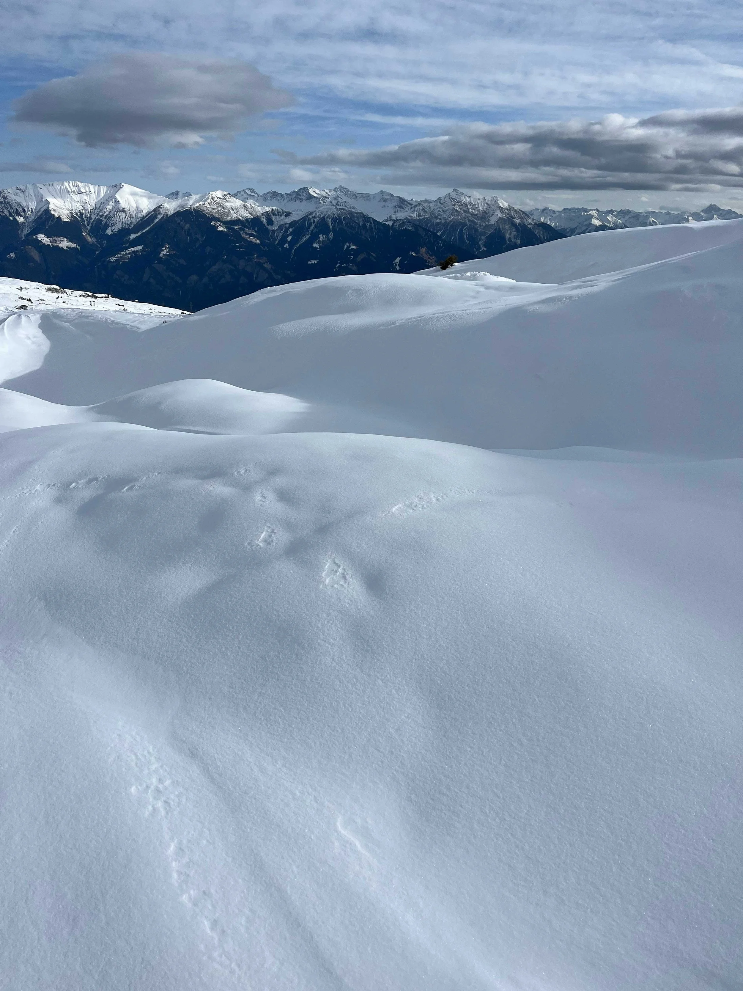 Verschneite Berge und Himmel mit Wolken, Schneefelder im Vordergrund.