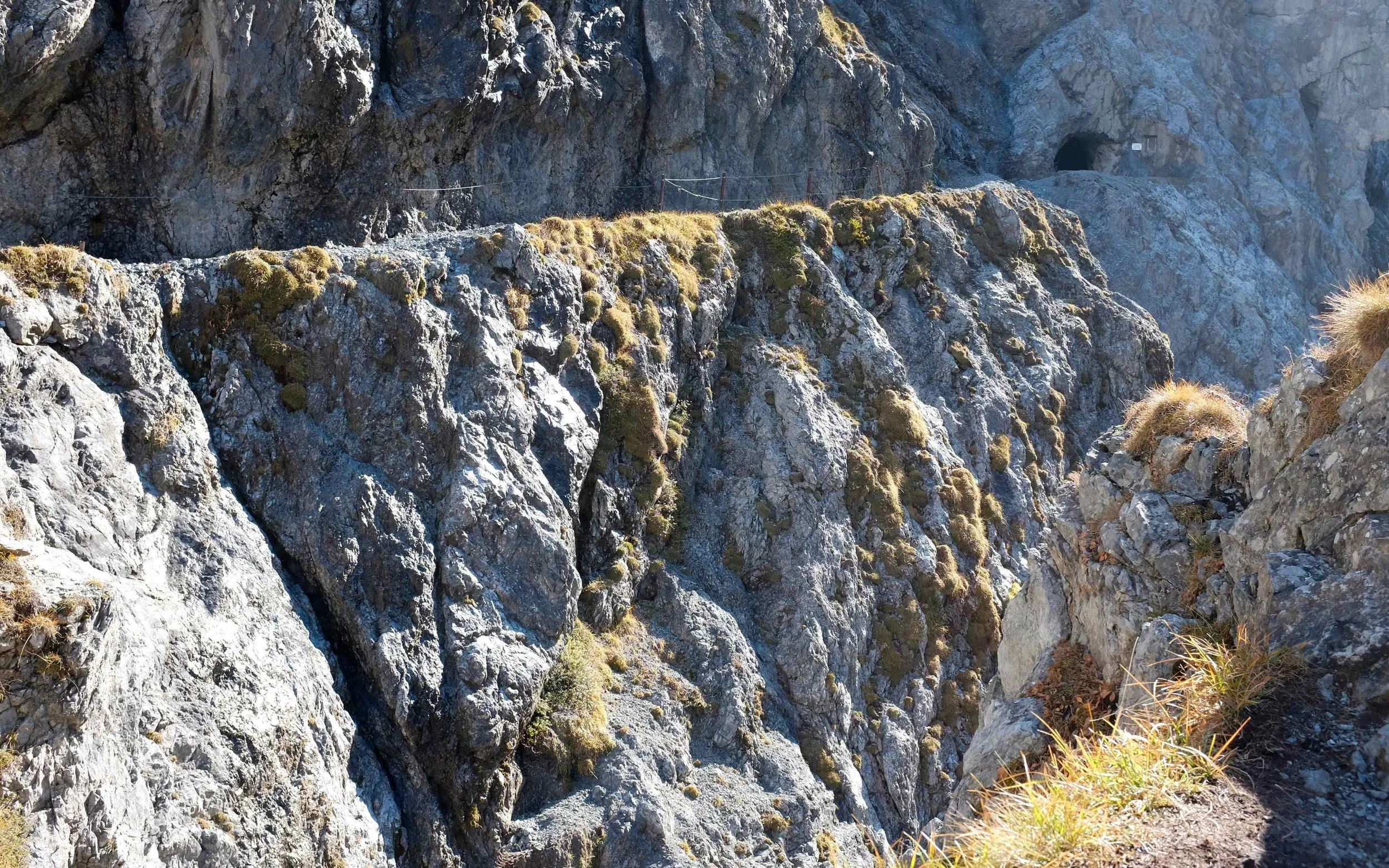 Felsen mit Moos und Gräsern in einer Gebirgslandschaft, Sonnenlicht auf den Felsen