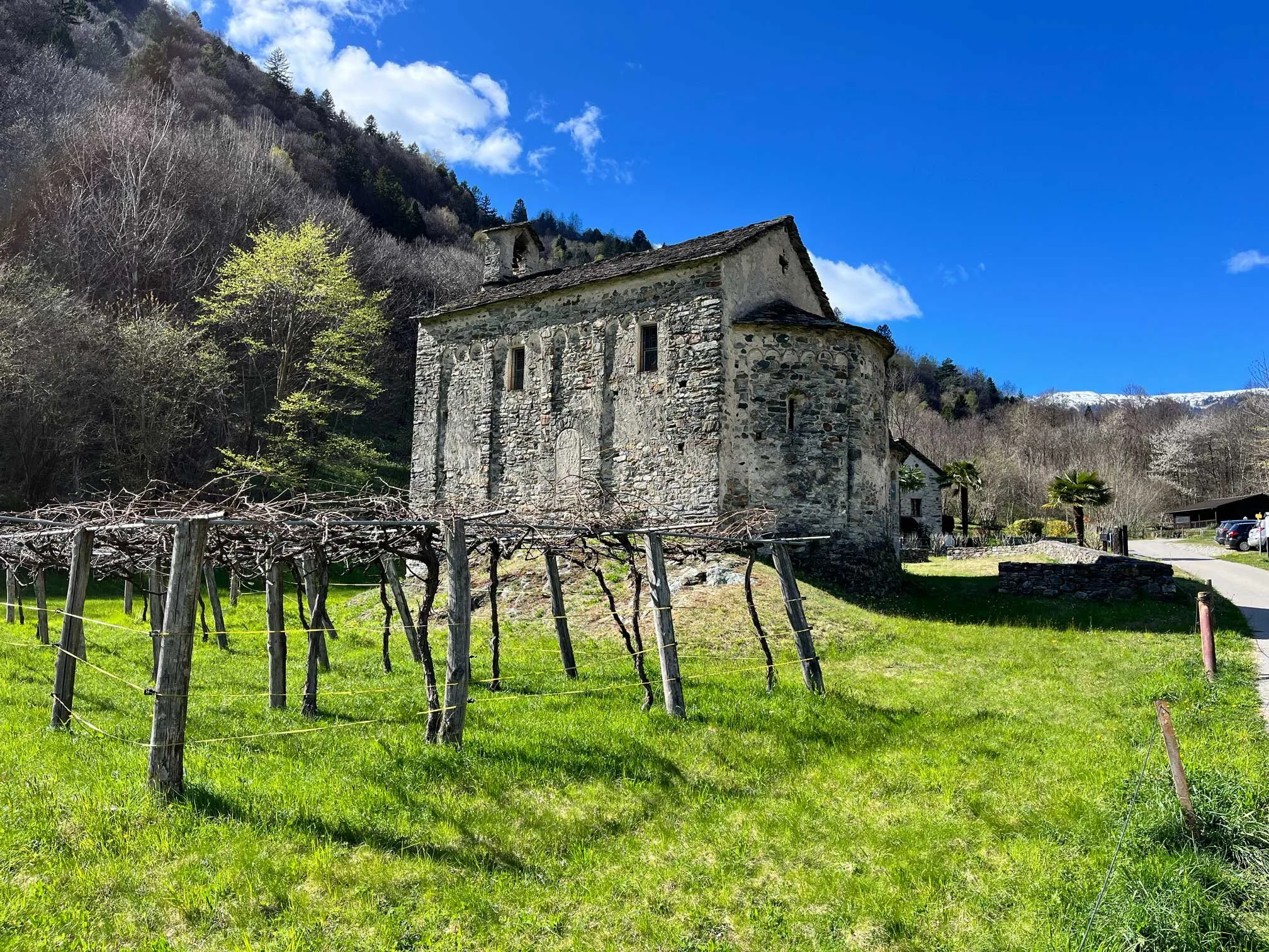 Alte Steinburg am Rande eines grünen Hügels, umgeben von Weinreben und Bäumen, bei sonnigem Himmel und in Bergen im Hintergrund.