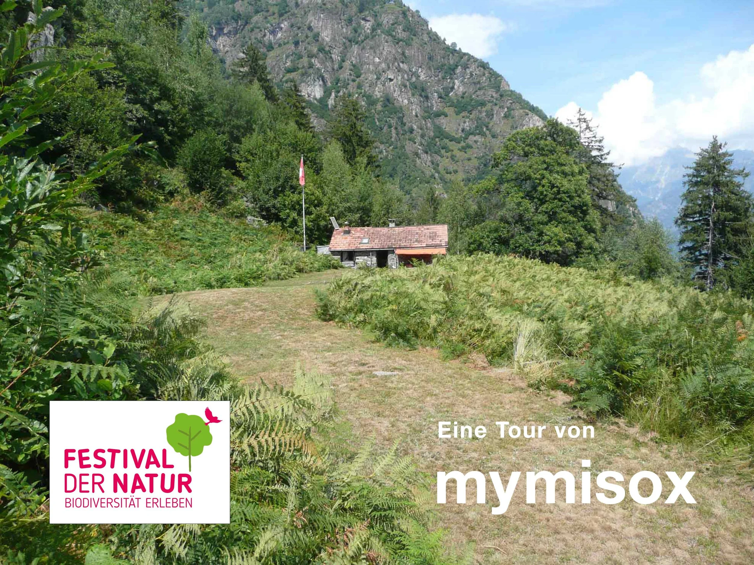 Landschaft mit Wiesen, Bäumen und einem Maiensäss vor einem Berg. Es gibt eine Wiese, sowie ein Logo des Festivals der Natur und Text, der auf eine Tour durch mymisox hinweist.