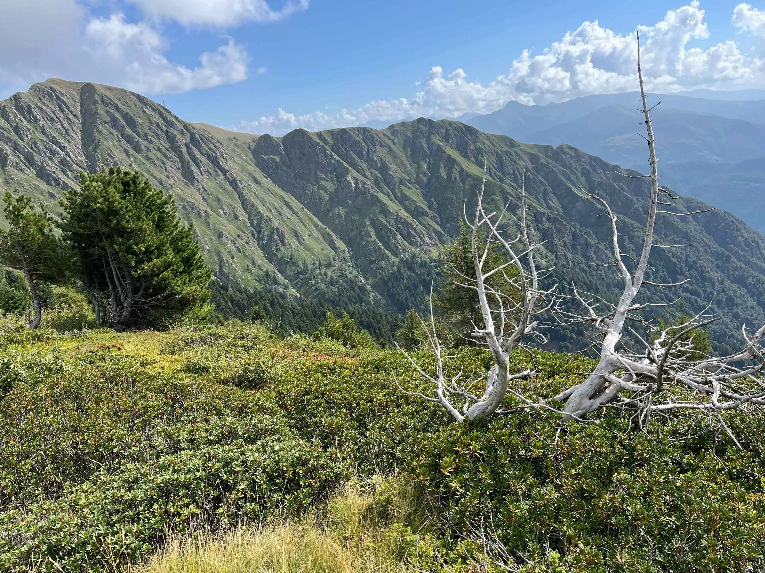 Berglandschaft mit grünen Hängen, einigen Bäumen im Vordergrund und einem blauen Himmel mit Wolken im Hintergrund.