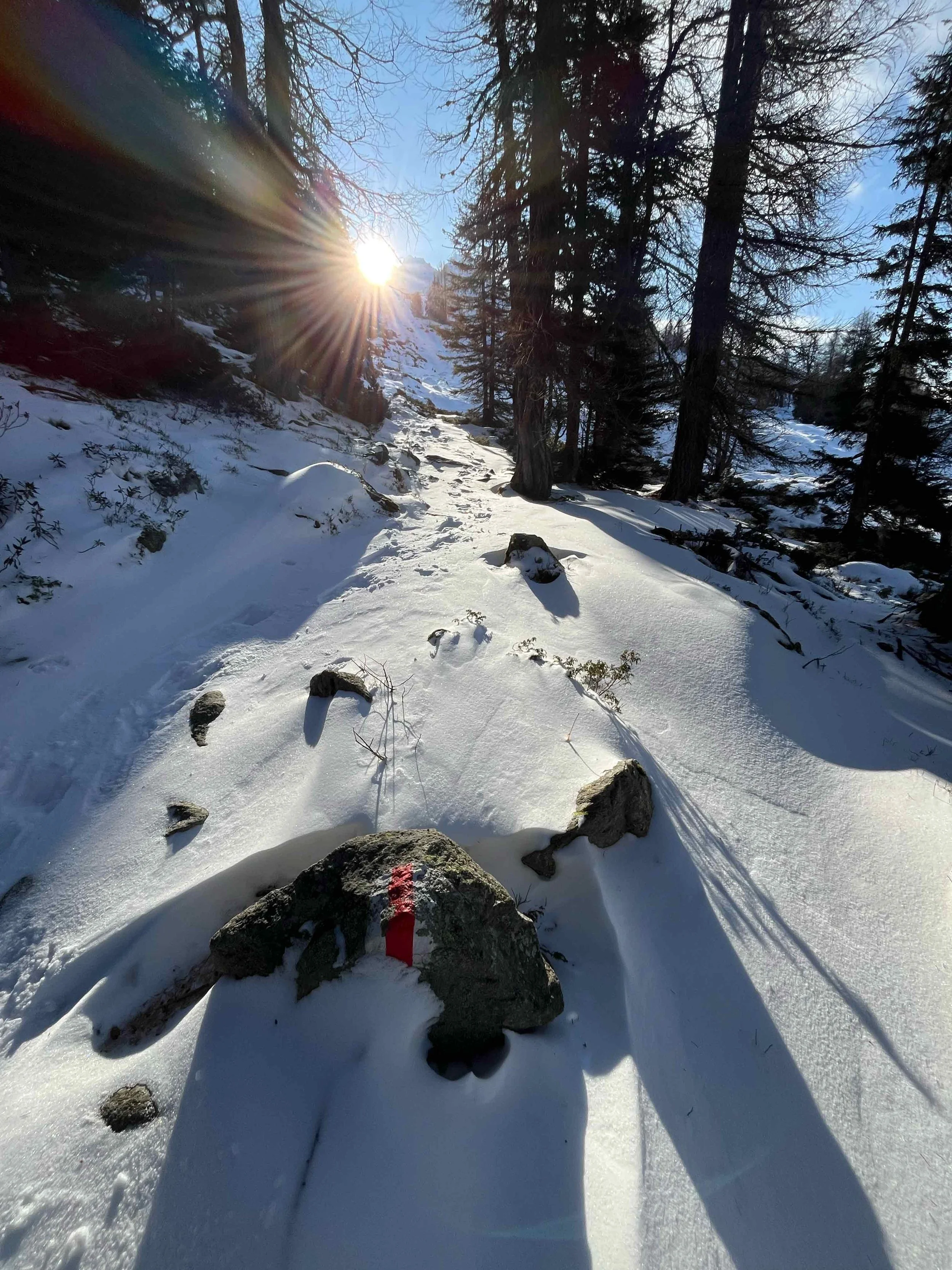 Schneebedecker Wanderweg im Wald mit Sonnenstrahlen, die durch die Bäume scheinen, und einem großen Stein mit einem roten Markierungsspray in der Mitte des Weges.