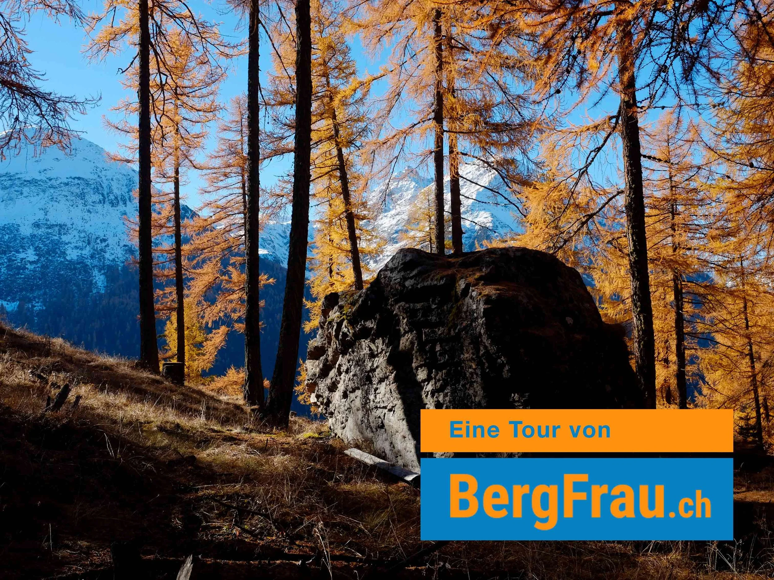 Berglandschaft mit Novemberbäumen, Schnee bedeckten Bergen im Hintergrund und einem großen Felsen im Vordergrund, mit orange- und blauen Textboxen, die den Titel eines Tourismusprodukts anzeigen.
