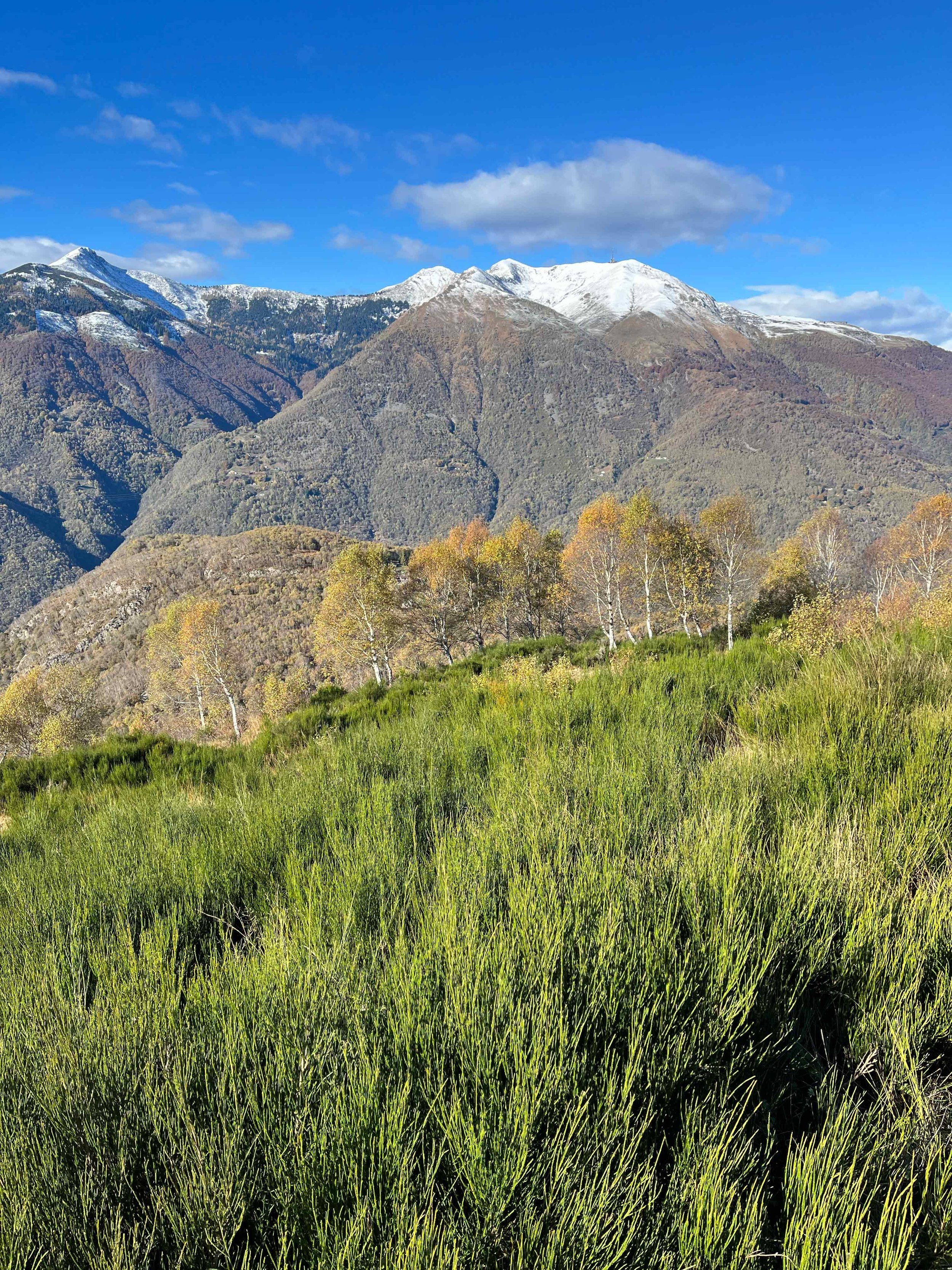 Berglandschaft mit grünen Wiesen im Vordergrund, bewaldeten Hügeln in der Mitte und schneebedeckten Gipfeln im Hintergrund unter blauem Himmel mit wenigen Wolken.