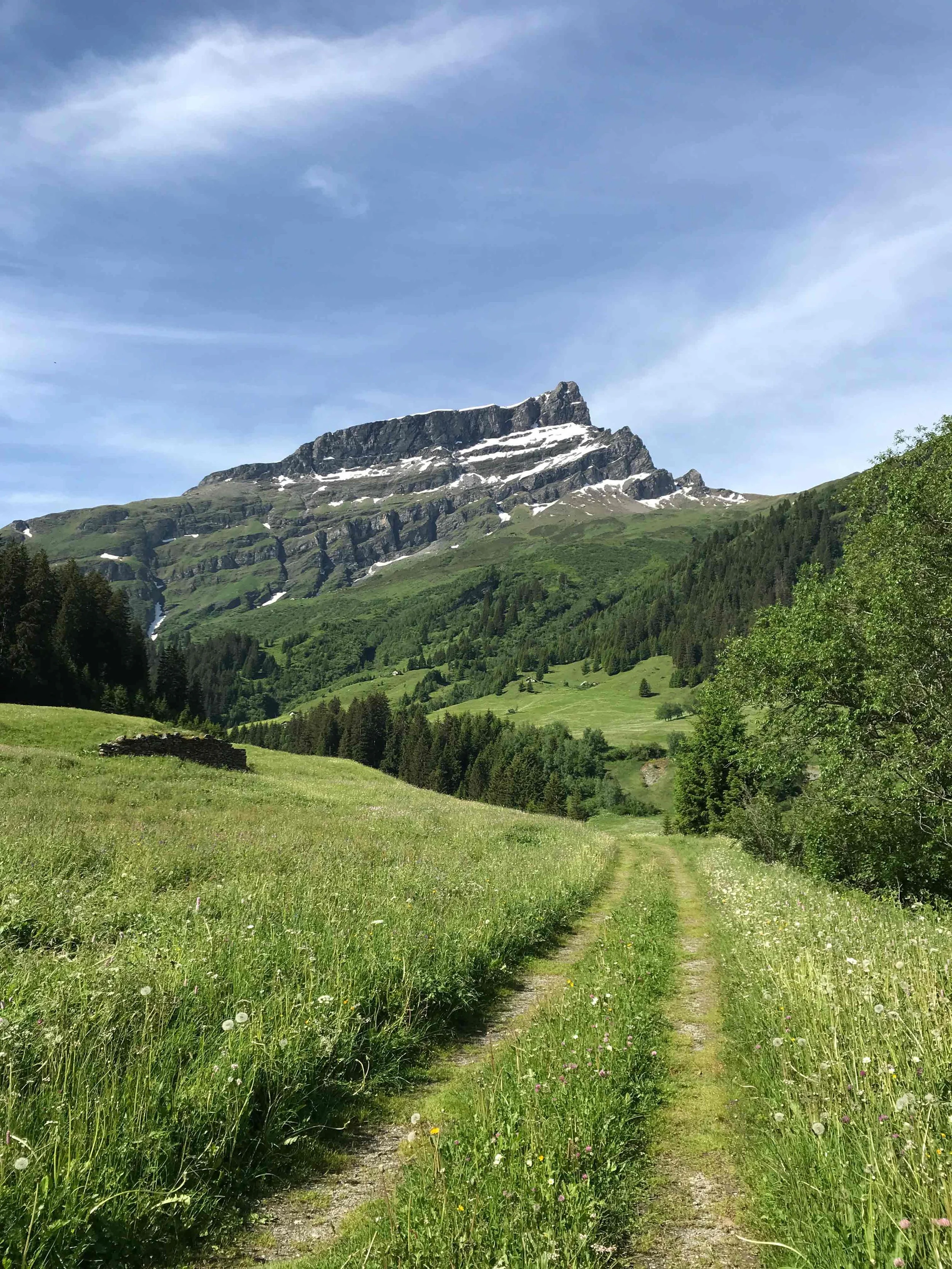 Eine grüne Wiese mit einem Schotterweg, umgeben von Bäumen und Bergen im Hintergrund mit Schneeresten auf den Gipfeln.
