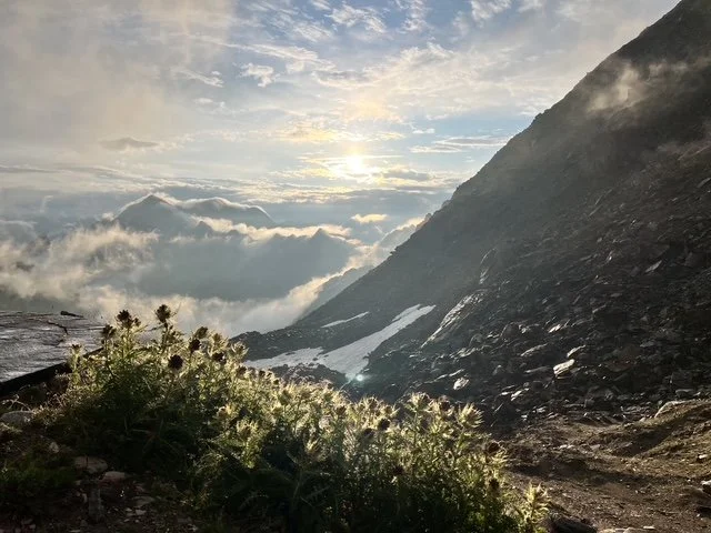 Berglandschaft mit Wolken, Sonnenaufgang oder Sonnenuntergang, felsigem Gelände und Bushalmen im Vordergrund.