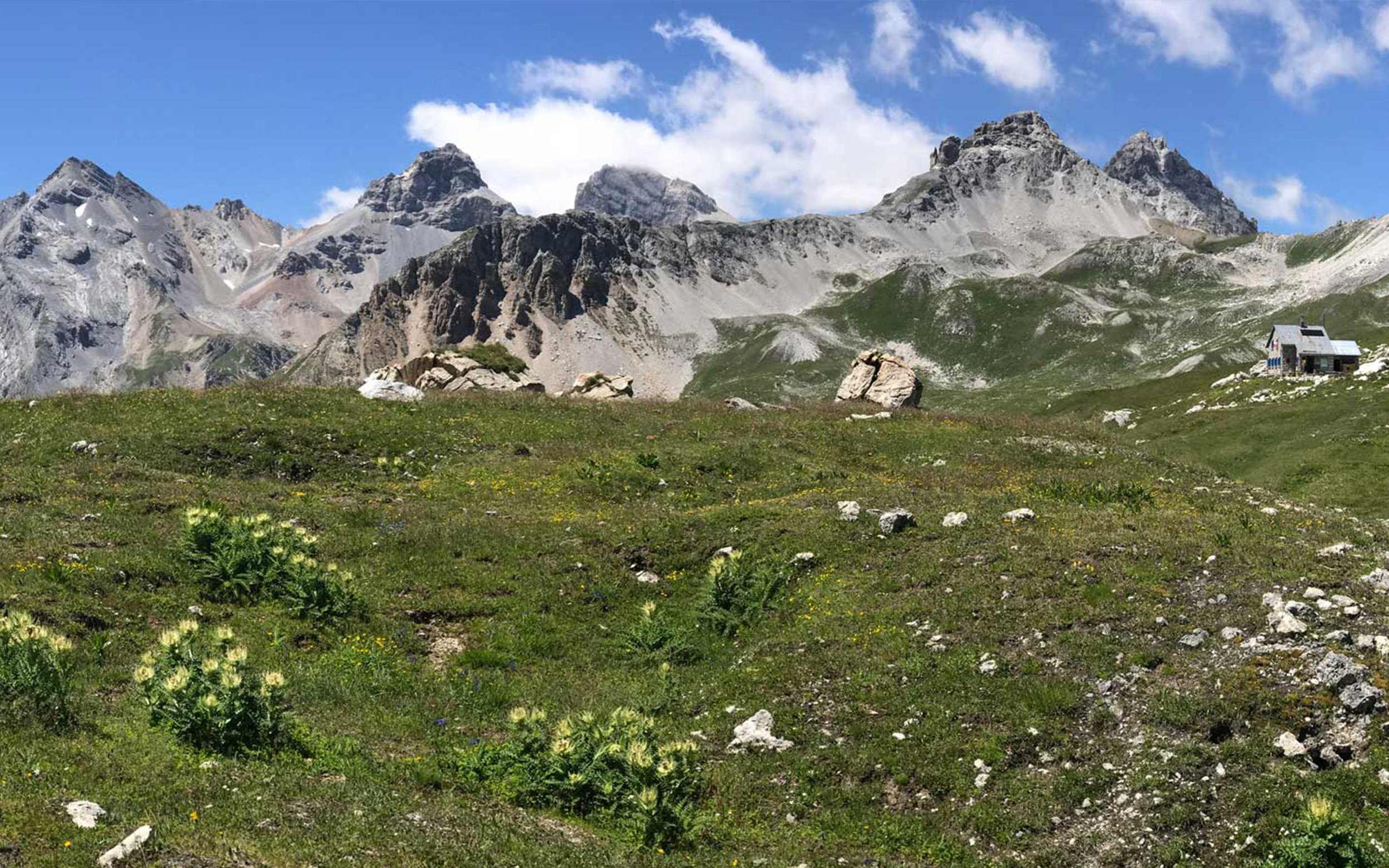 Sommerszene in den Bergen mit grünem Wiesen, Felsen und einem Haus im Hintergrund unter blauem Himmel mit Wolken.