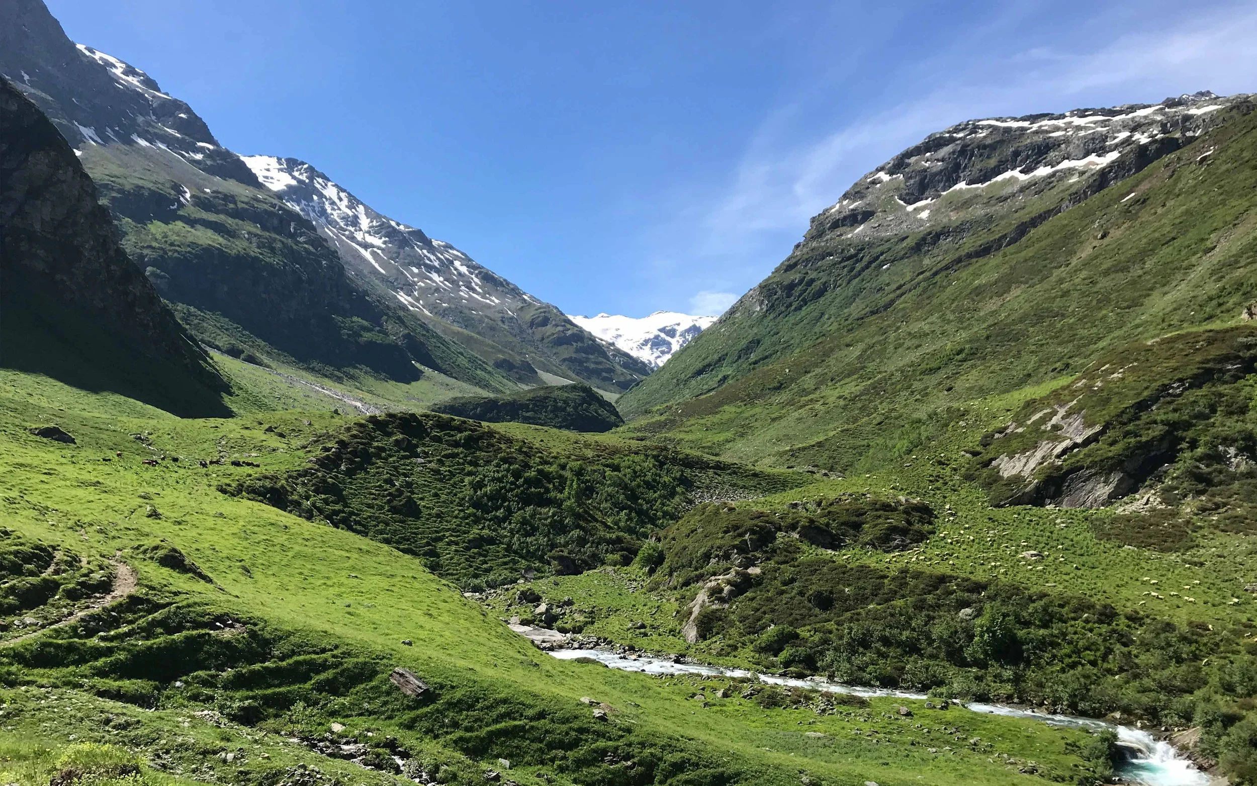 Bergtal mit grünen Wiesen, Fluss und schneebedeckten Bergen im Hintergrund bei schönem Wetter.