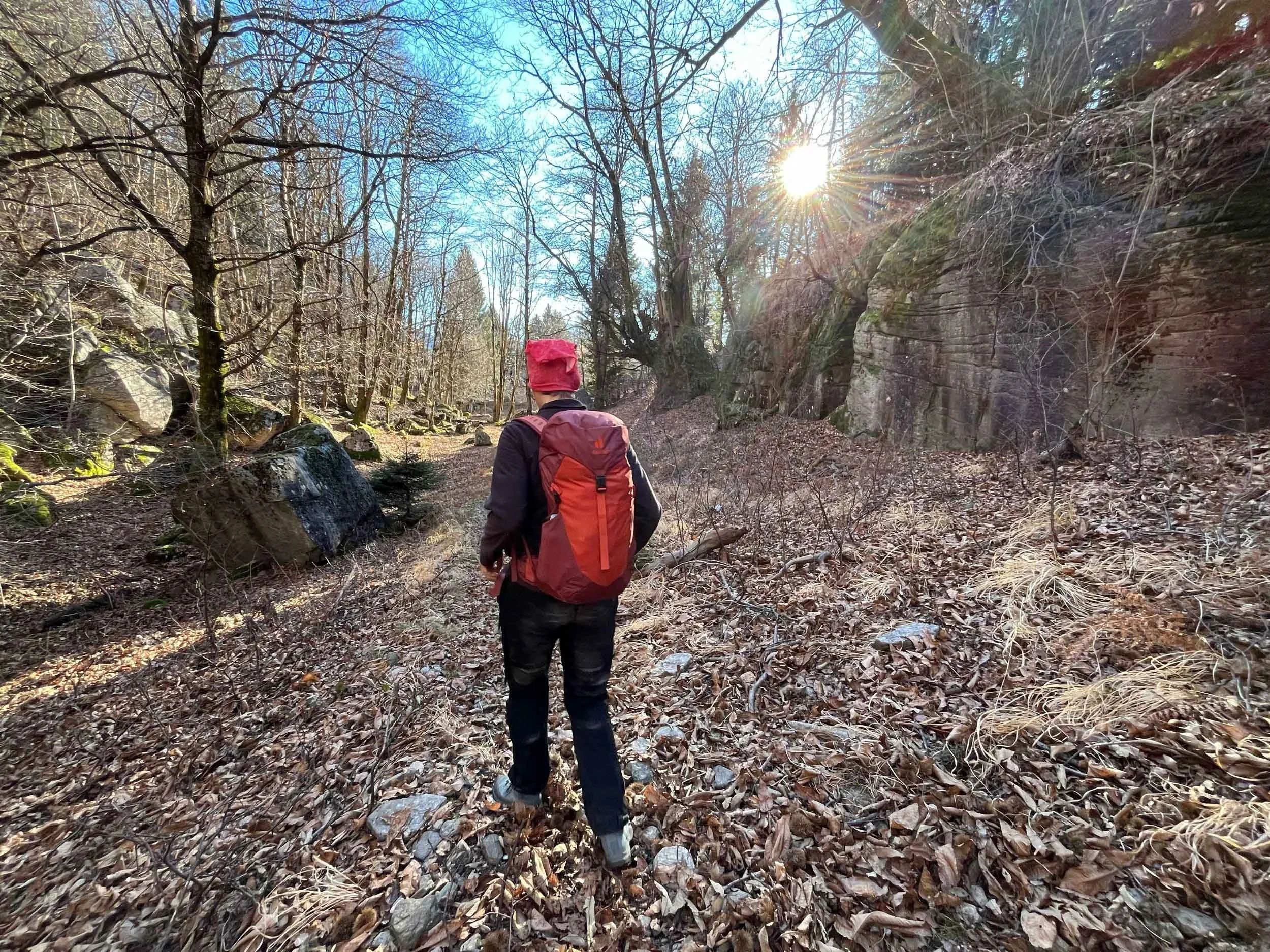 Ein Wanderer mit roter Mütze und Rucksack wandert durch einen Wald im Frühling, die Bäume sind noch ohne Blätter, und die Sonne scheint durch die Äste.