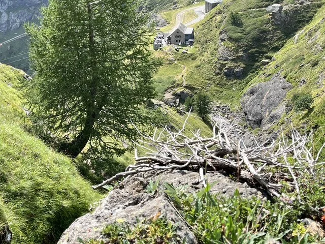Berglandschaft mit Baum, Steinen und Zweigen im Vordergrund, abgelegene Höfe und Straßen auf dem Hügel im Hintergrund.