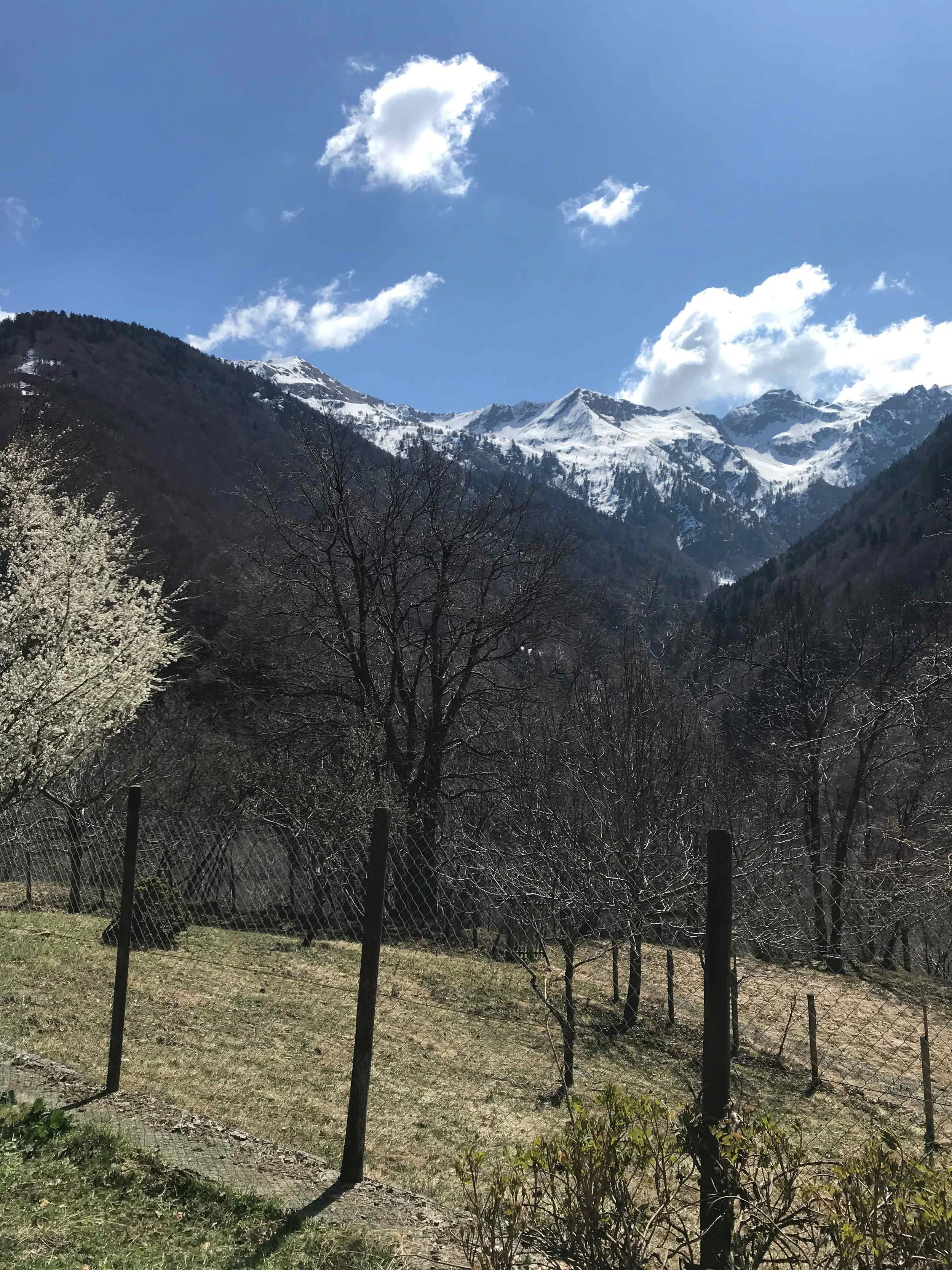 Berglandschaft mit schneebedeckten Bergen, blauer Himmel mit Wolken, Bäume ohne Blätter und ein Drahtzaun im Vordergrund.